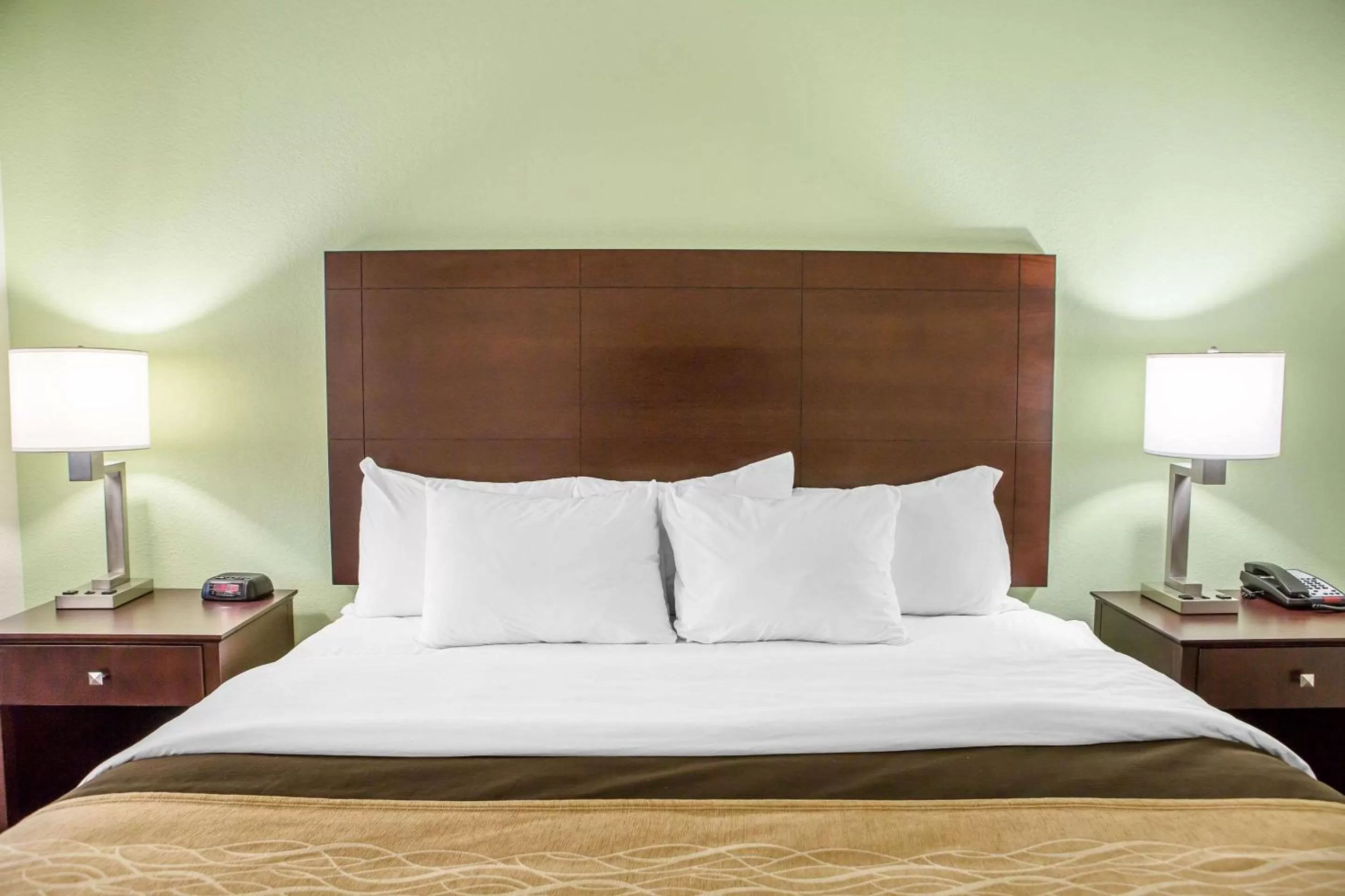 Photo of the whole room in Comfort Inn Lexington South