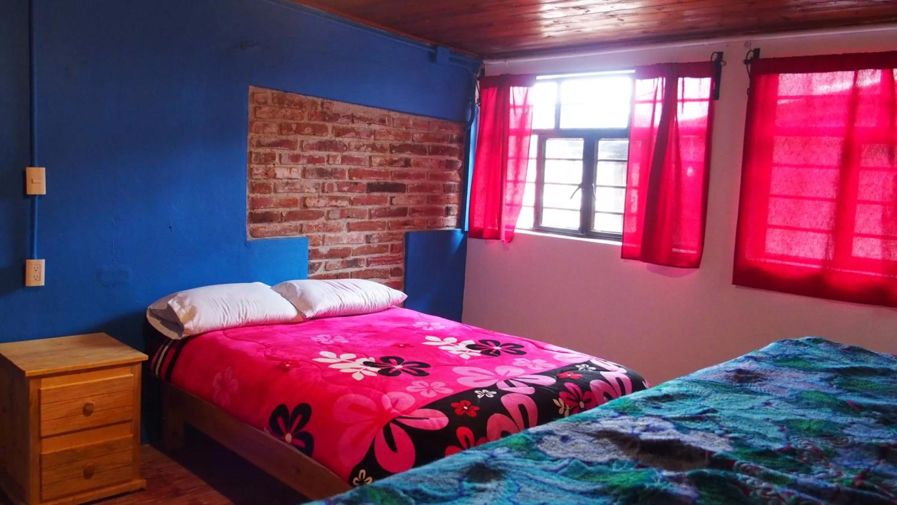 Bed in kukulkan hostal