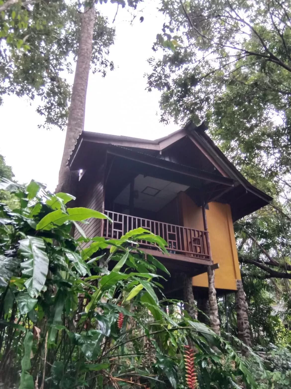 Tree Tops River Huts