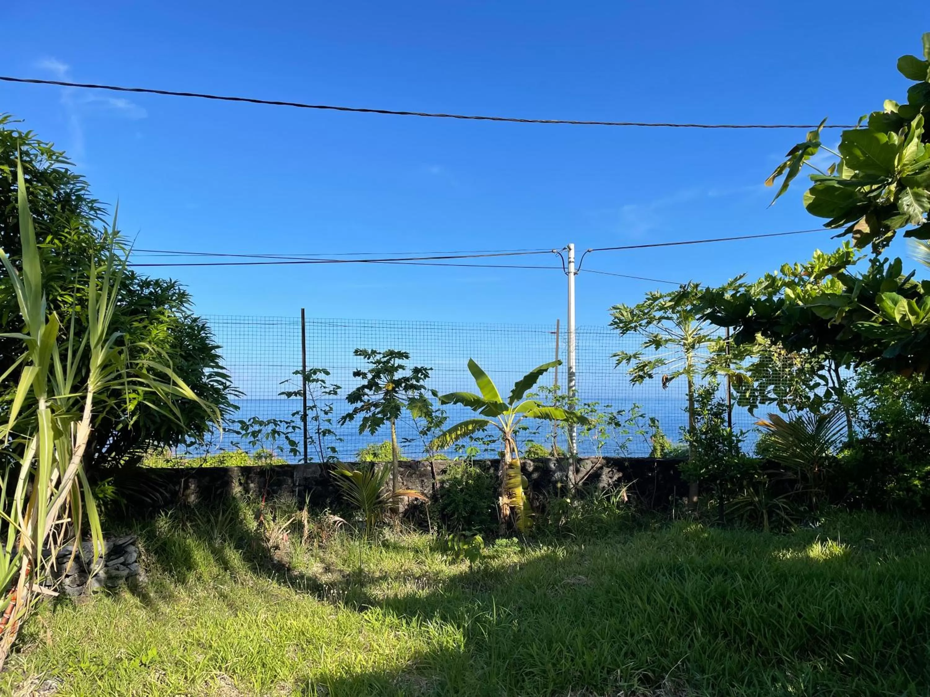 Sea view in Hôtel La Grillade
