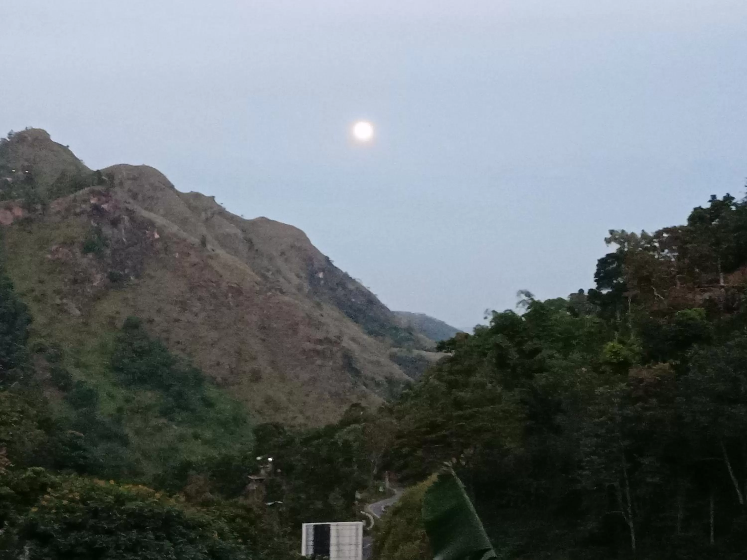 Ella Lucky Panoramic