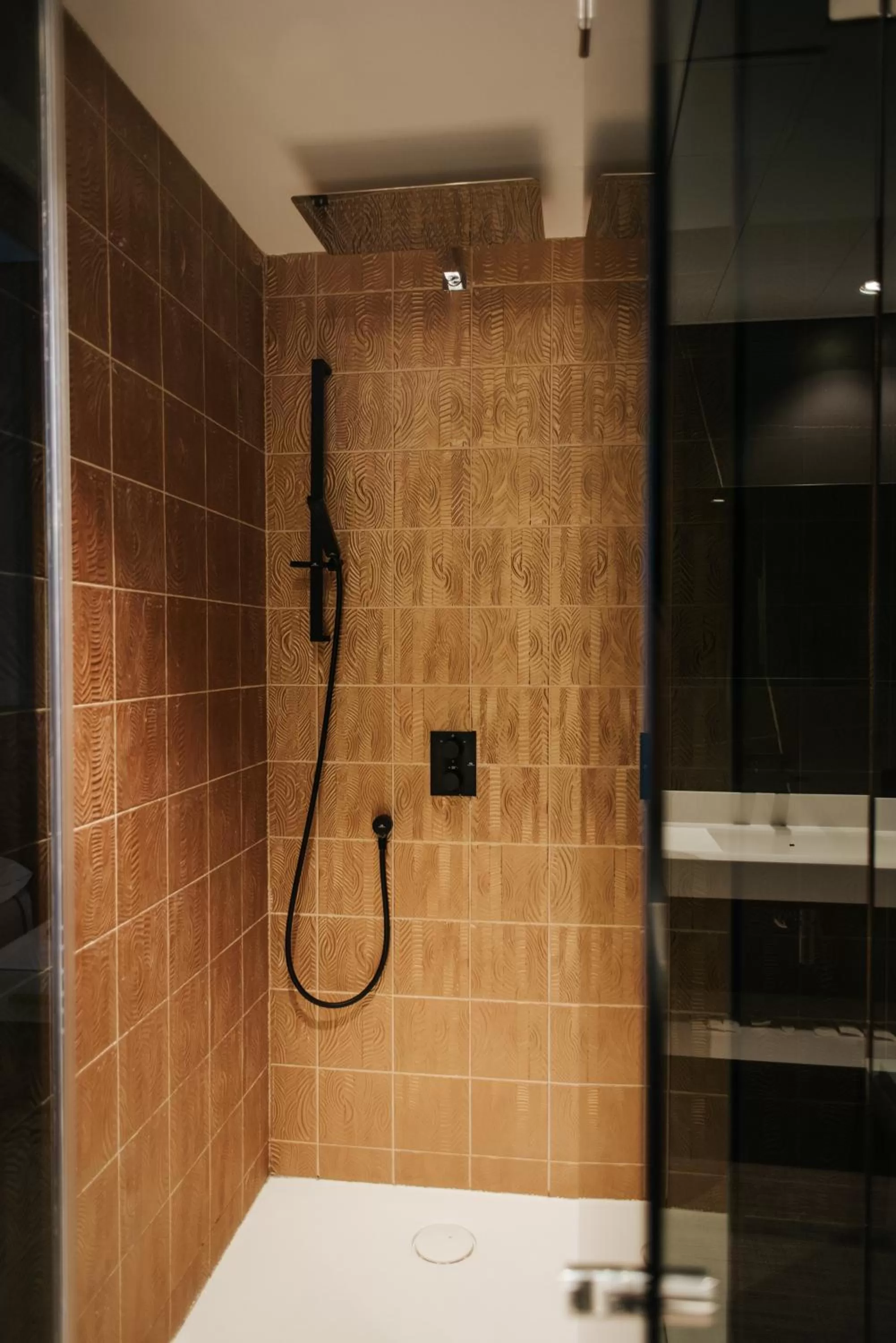 Shower in Hotel Neptuno Playa & Spa