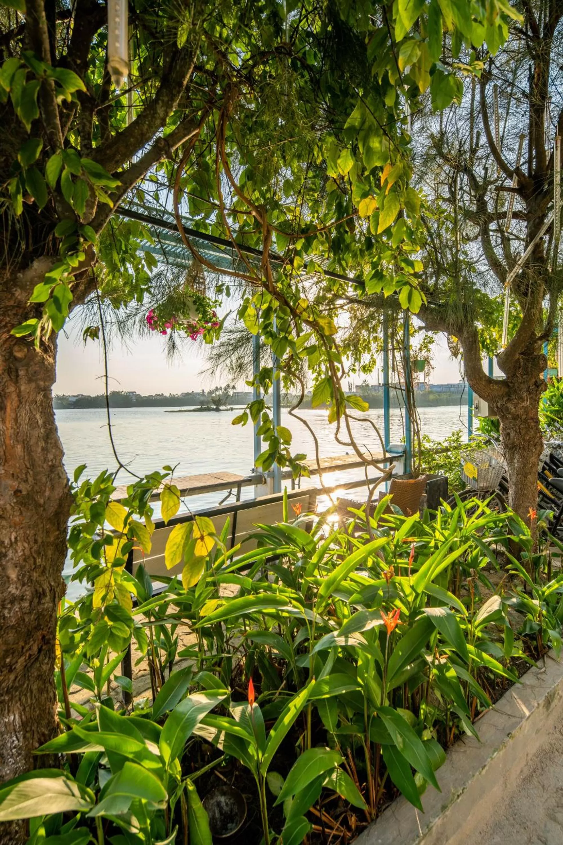 Garden in TRIPLE Riverside Villa Hotel HoiAn