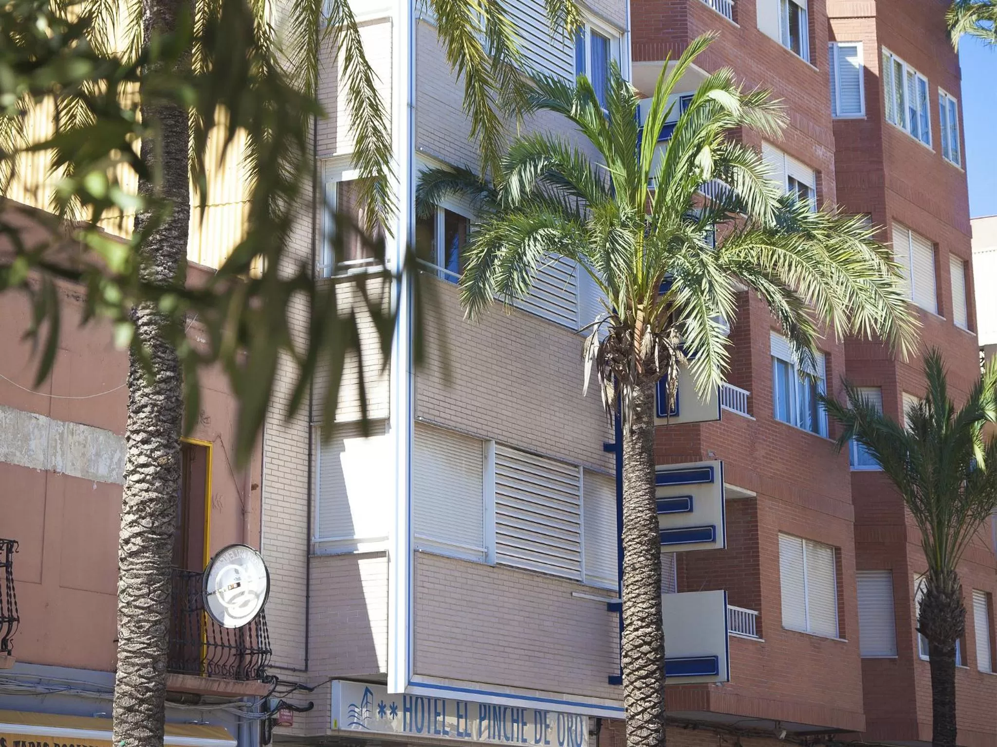 Property building in El Pinche de Oro