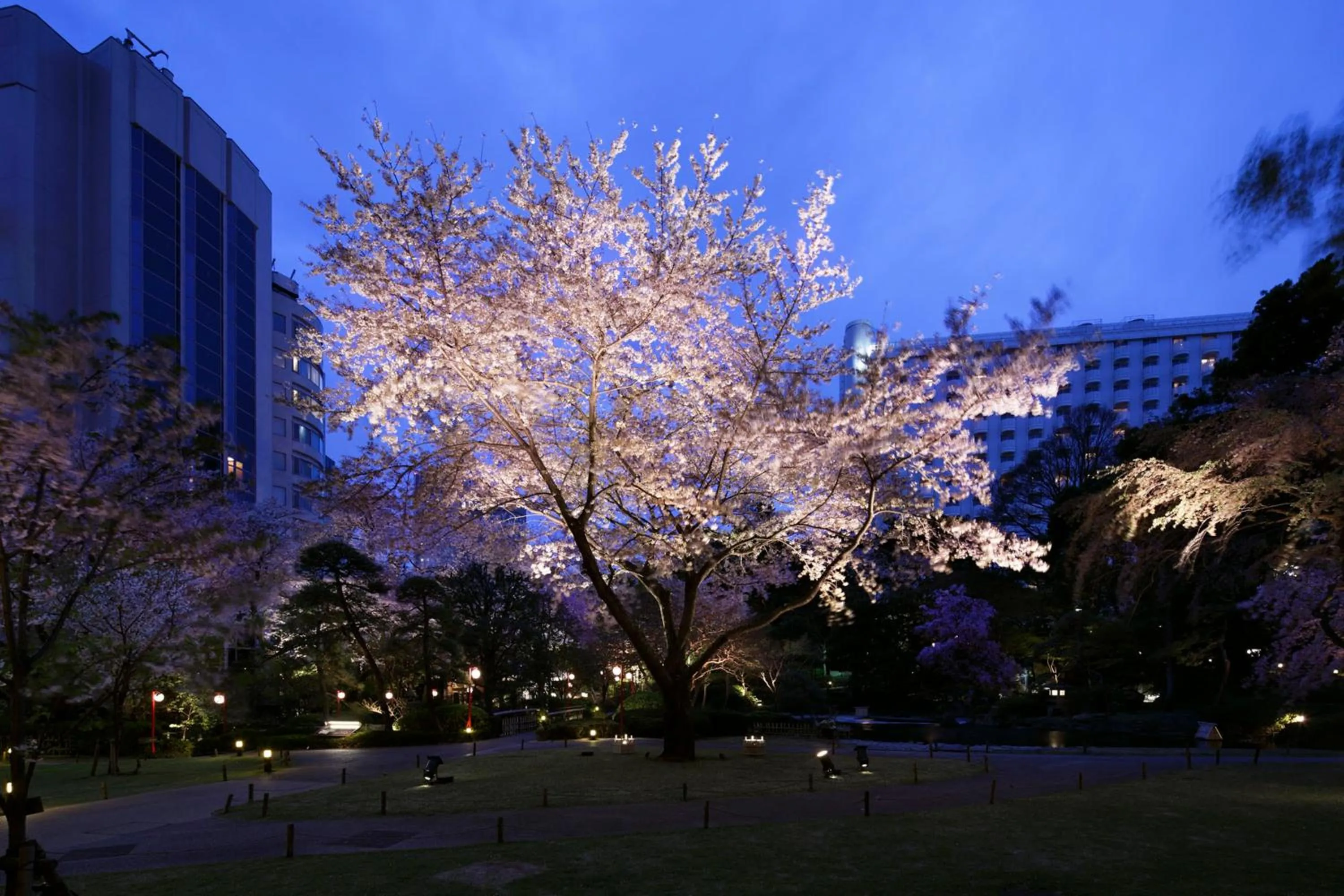 Property building in The Prince Sakura Tower Tokyo, Autograph Collection