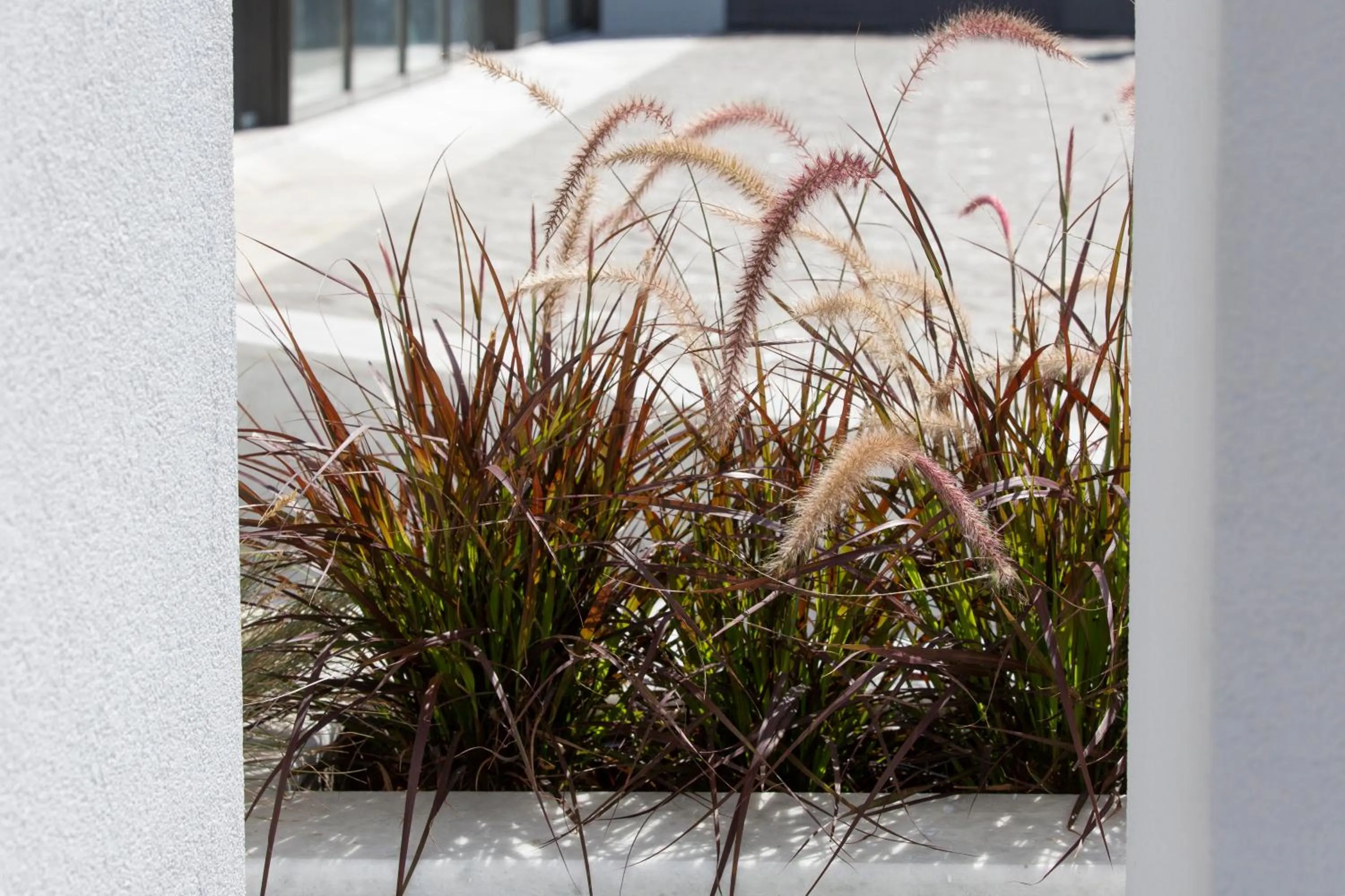 Facade/entrance in Athens Panorama Project