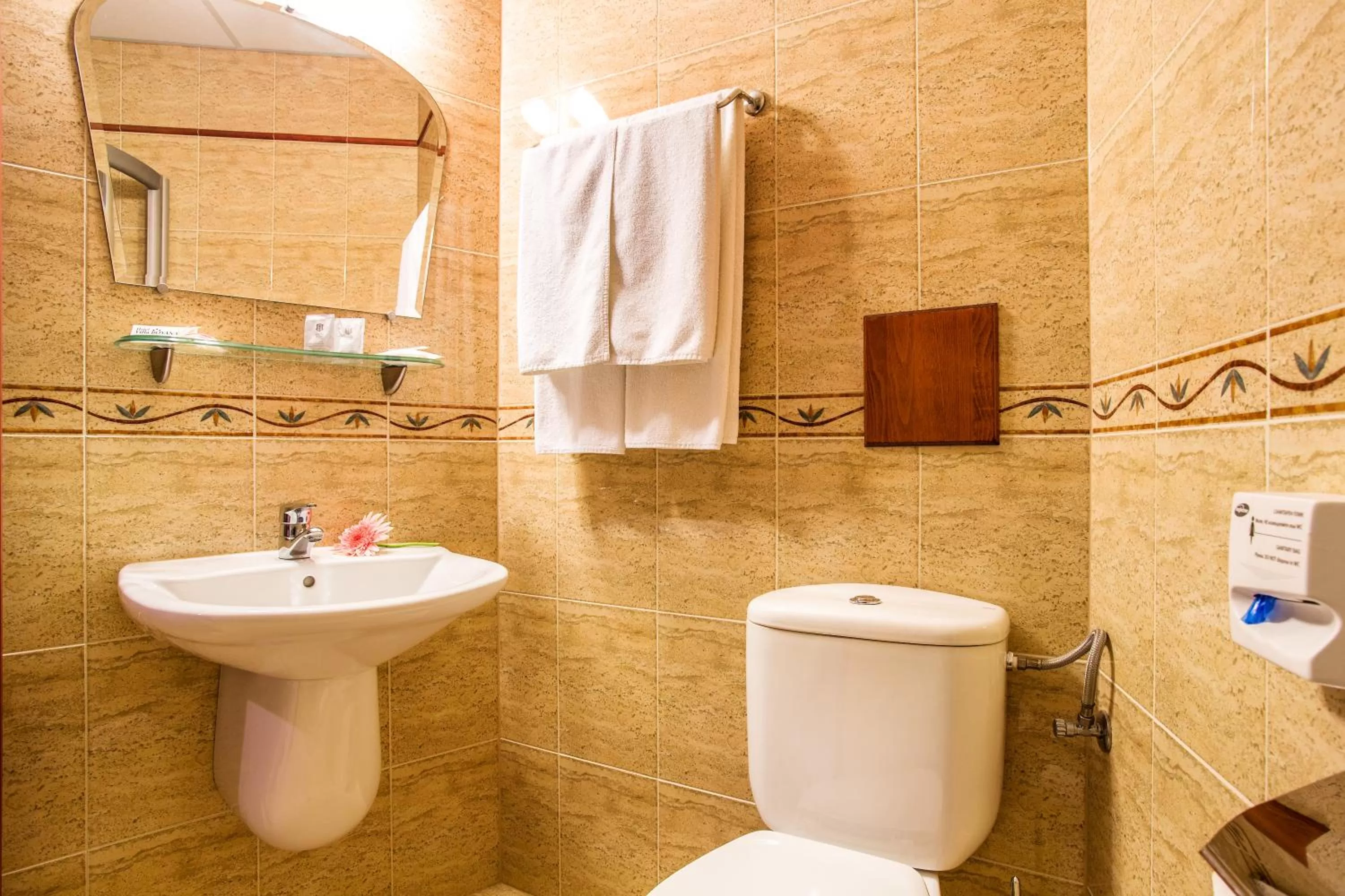 Bathroom in Hotel Villa Boyana - Free Parking