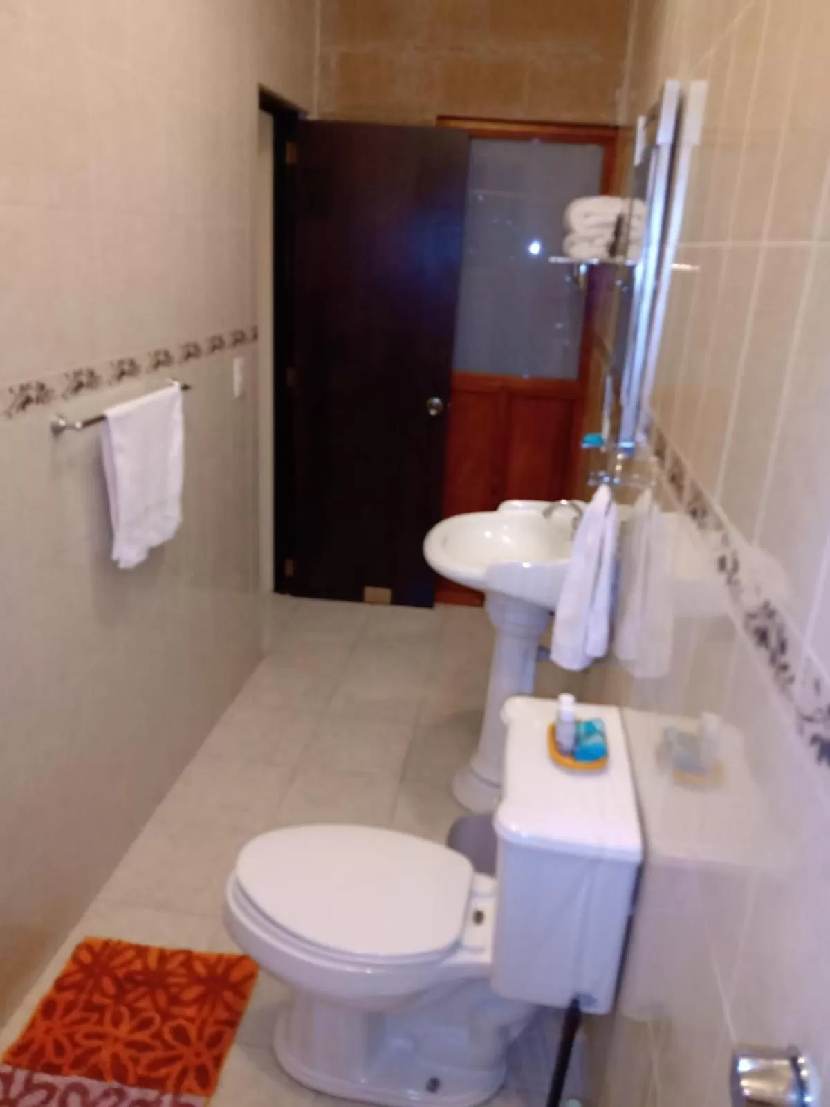 Bathroom in La Casa Rosa Guanajuato