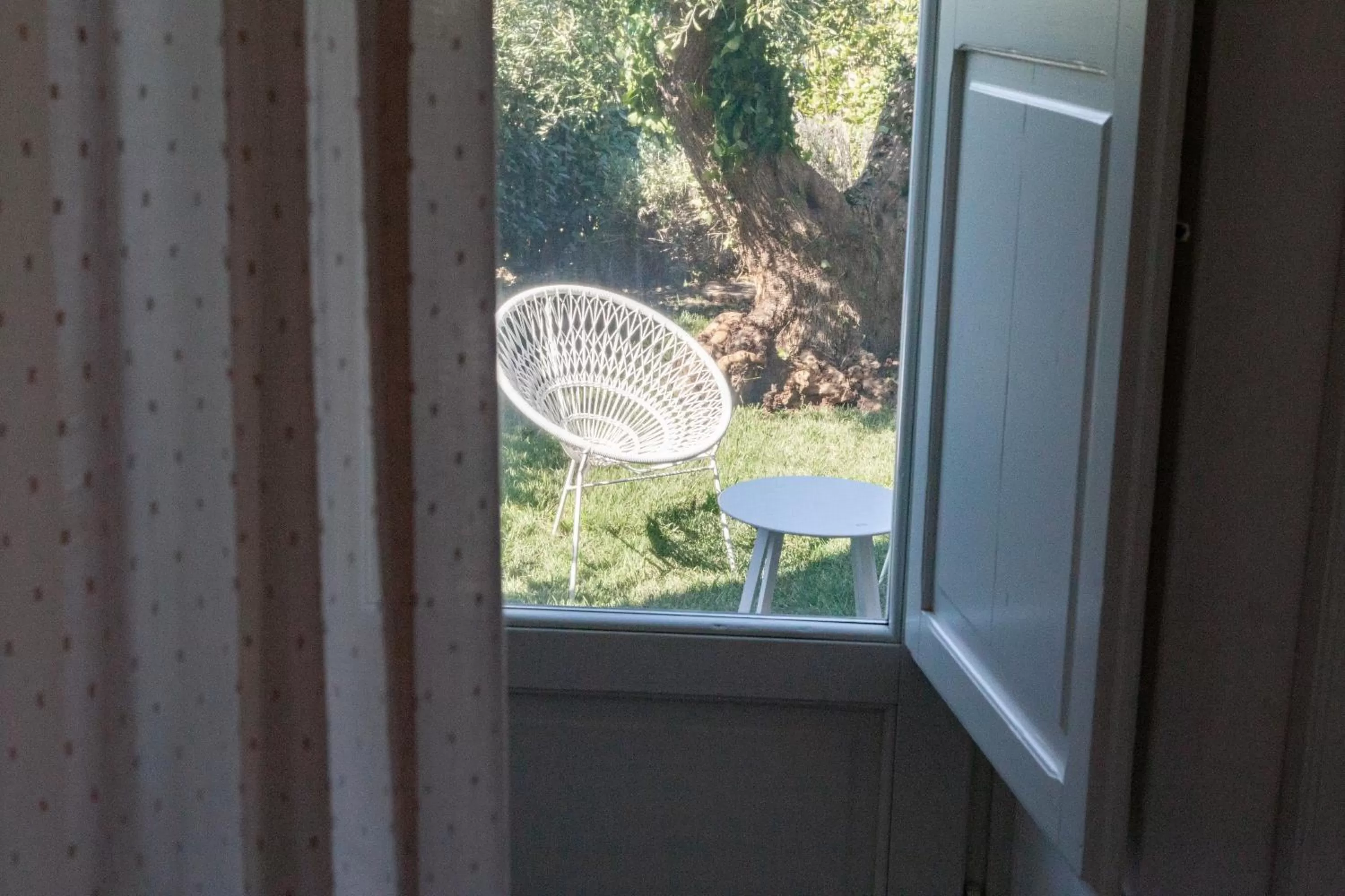 Patio in Dimora Graziana 1909