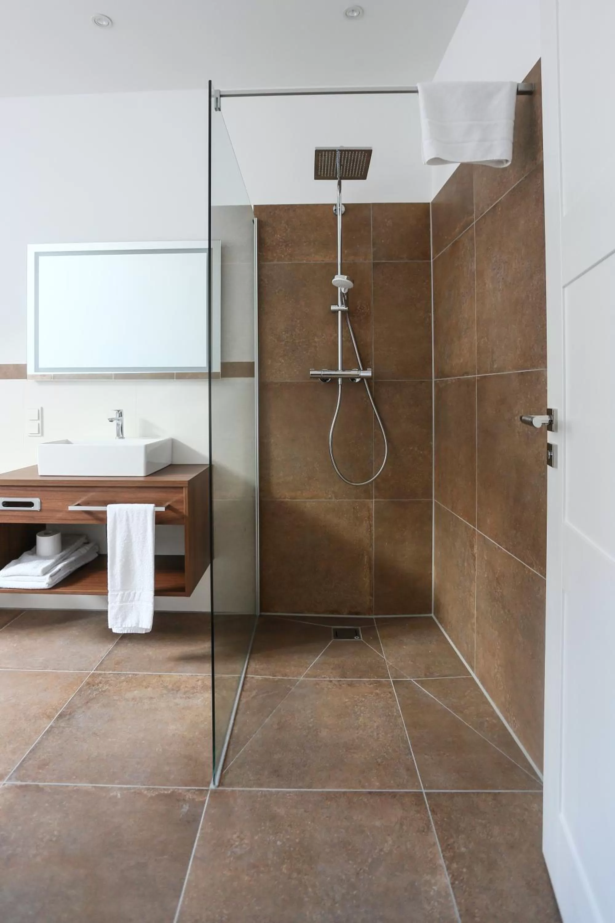 Shower in Hotel Lutz