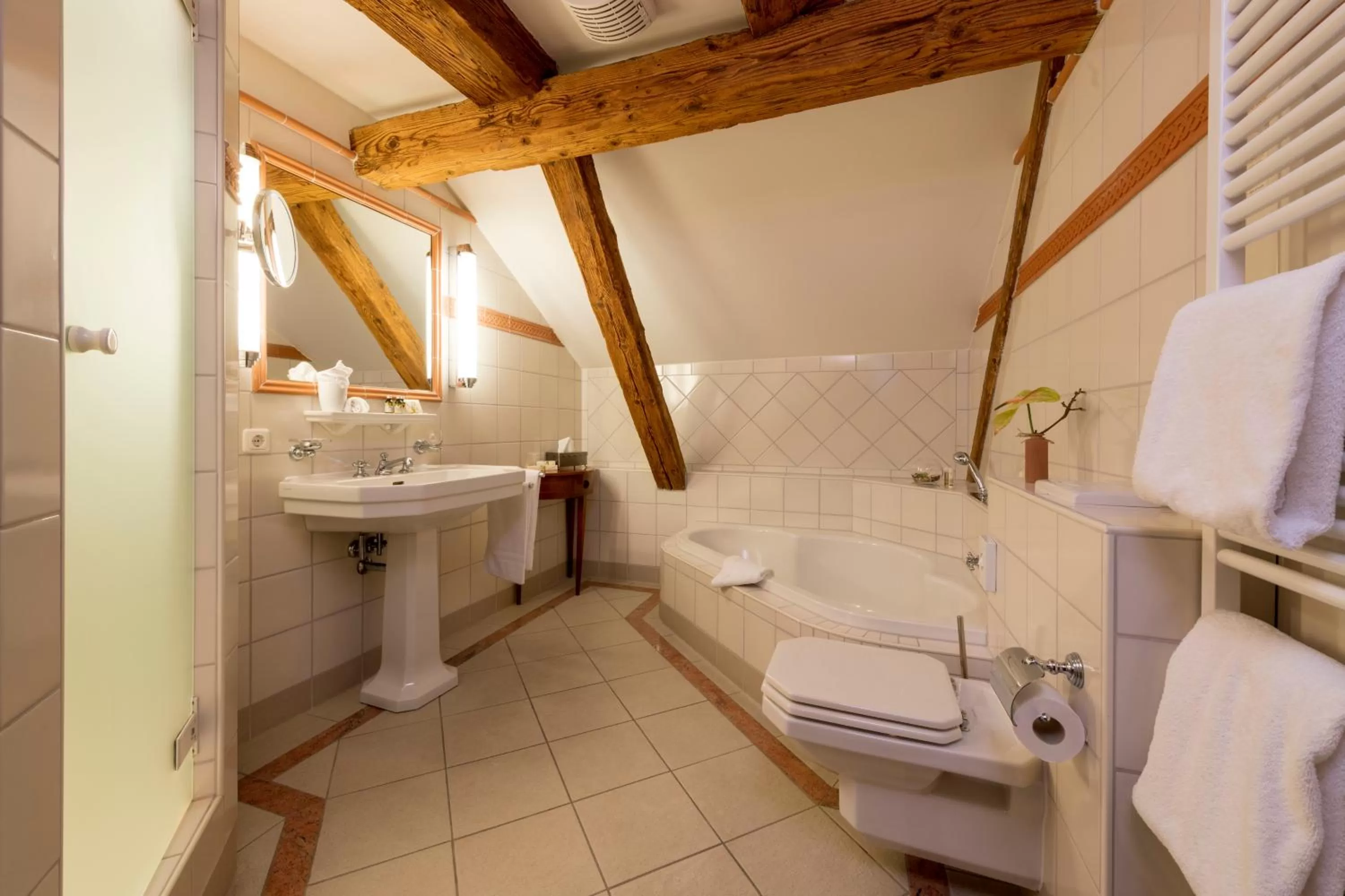 Bathroom in Hotel & Restaurant Alte Rheinmühle
