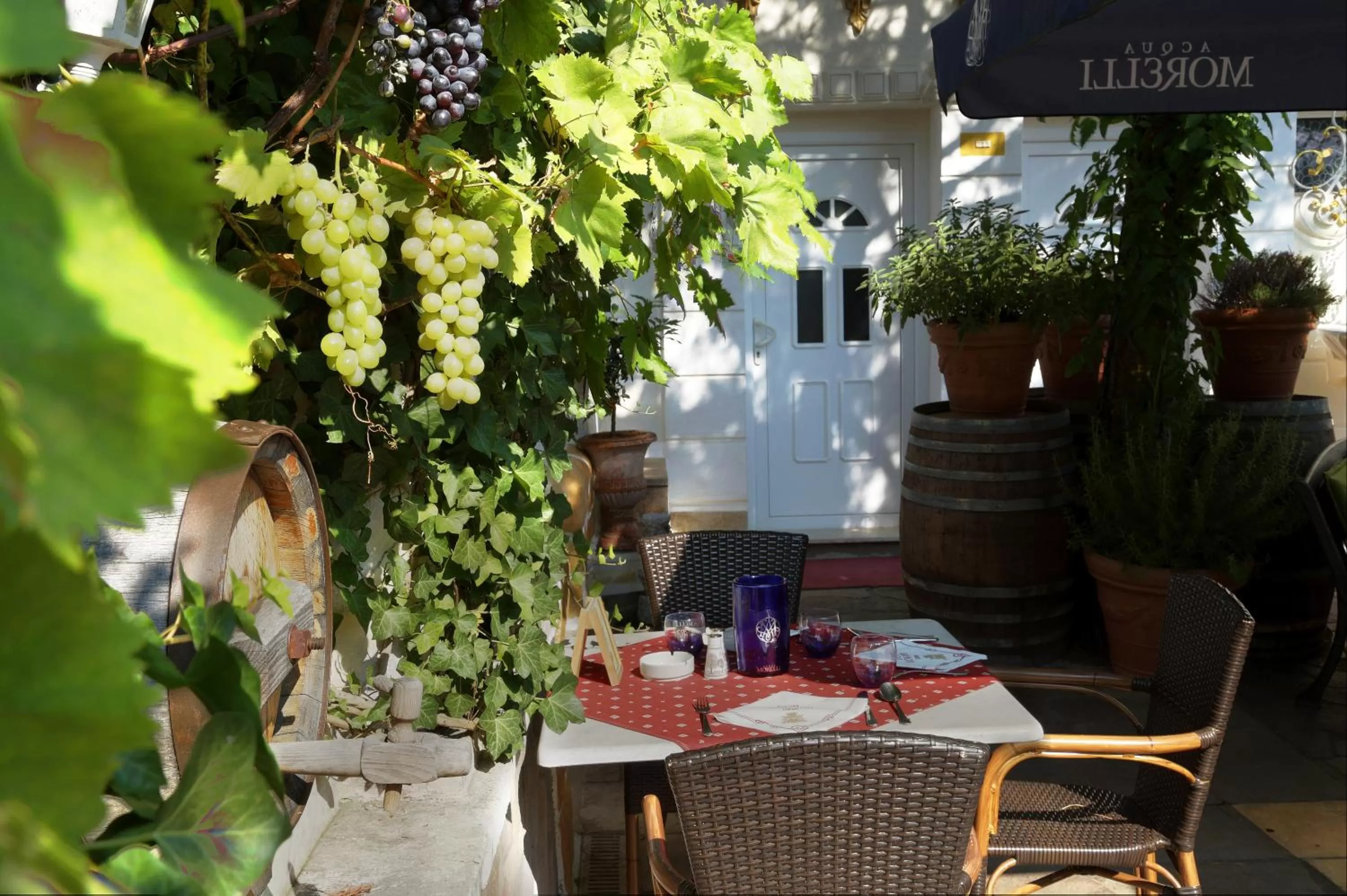 Patio in Hotel Don Giovanni