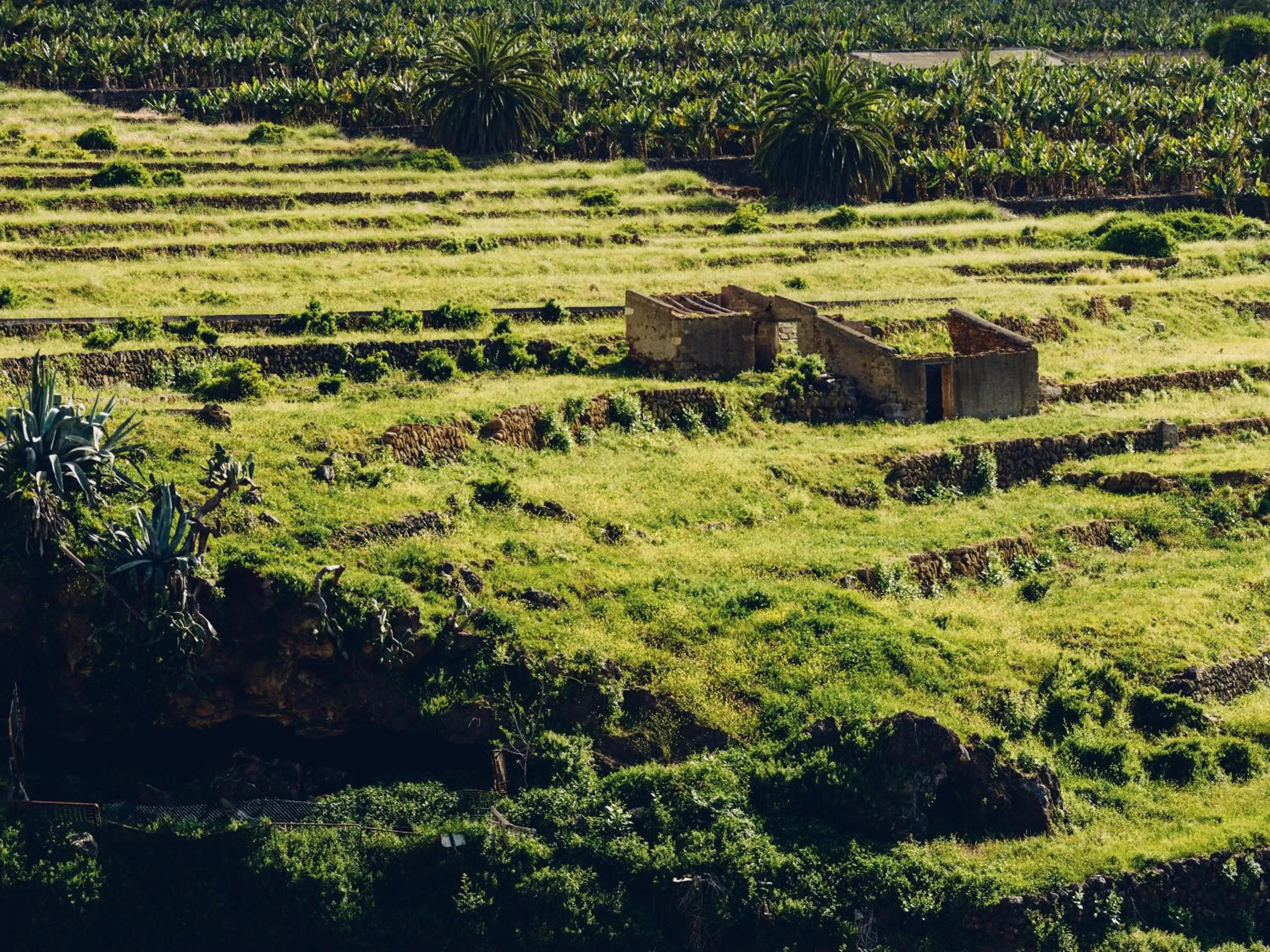 Mountain view in Route Active Hotel