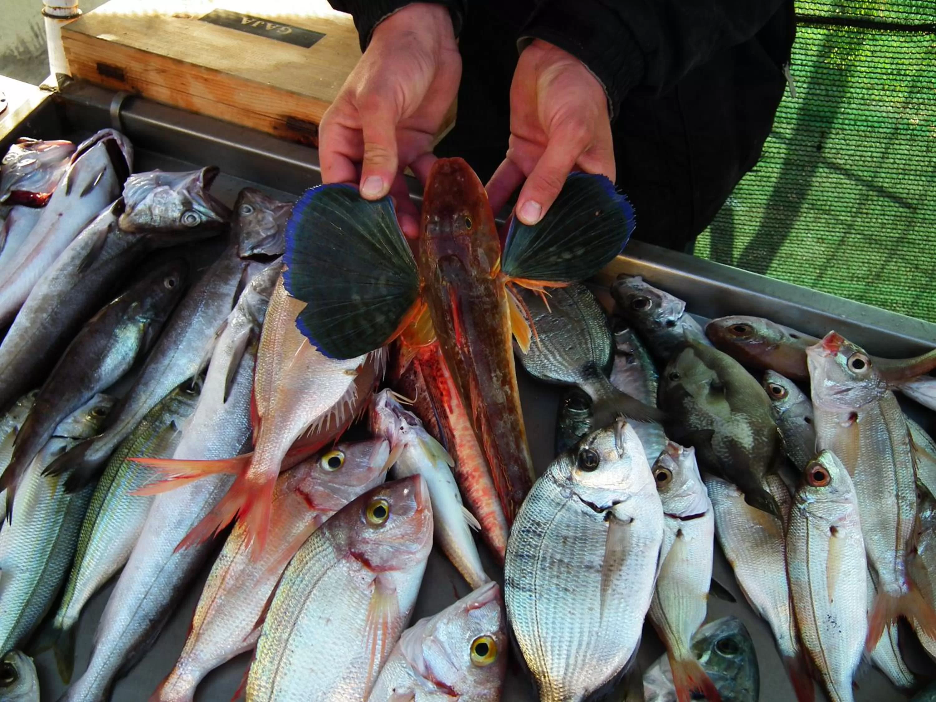 Location in B&B Re Umberto