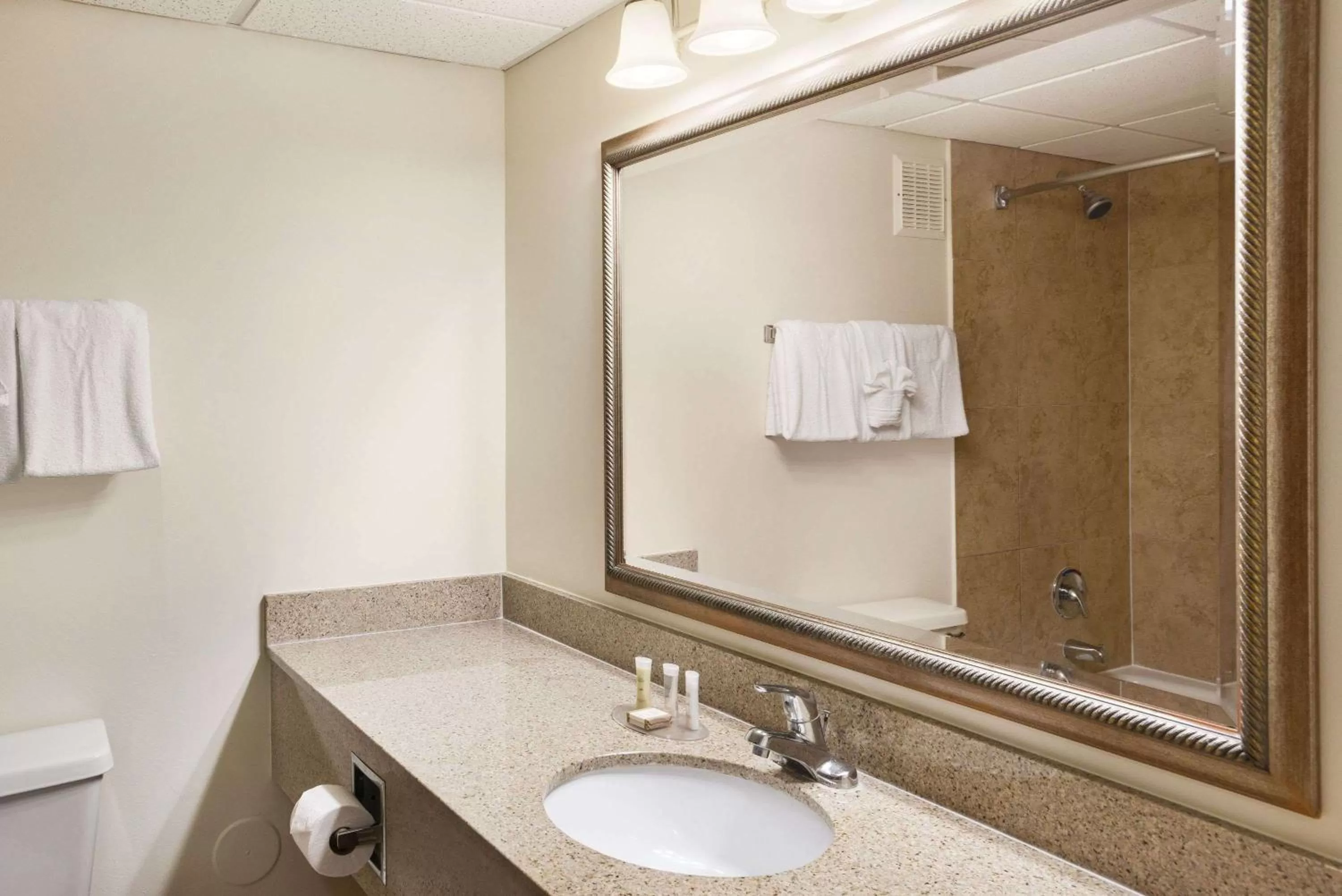 Toilet in Caribe Hotel Ponce