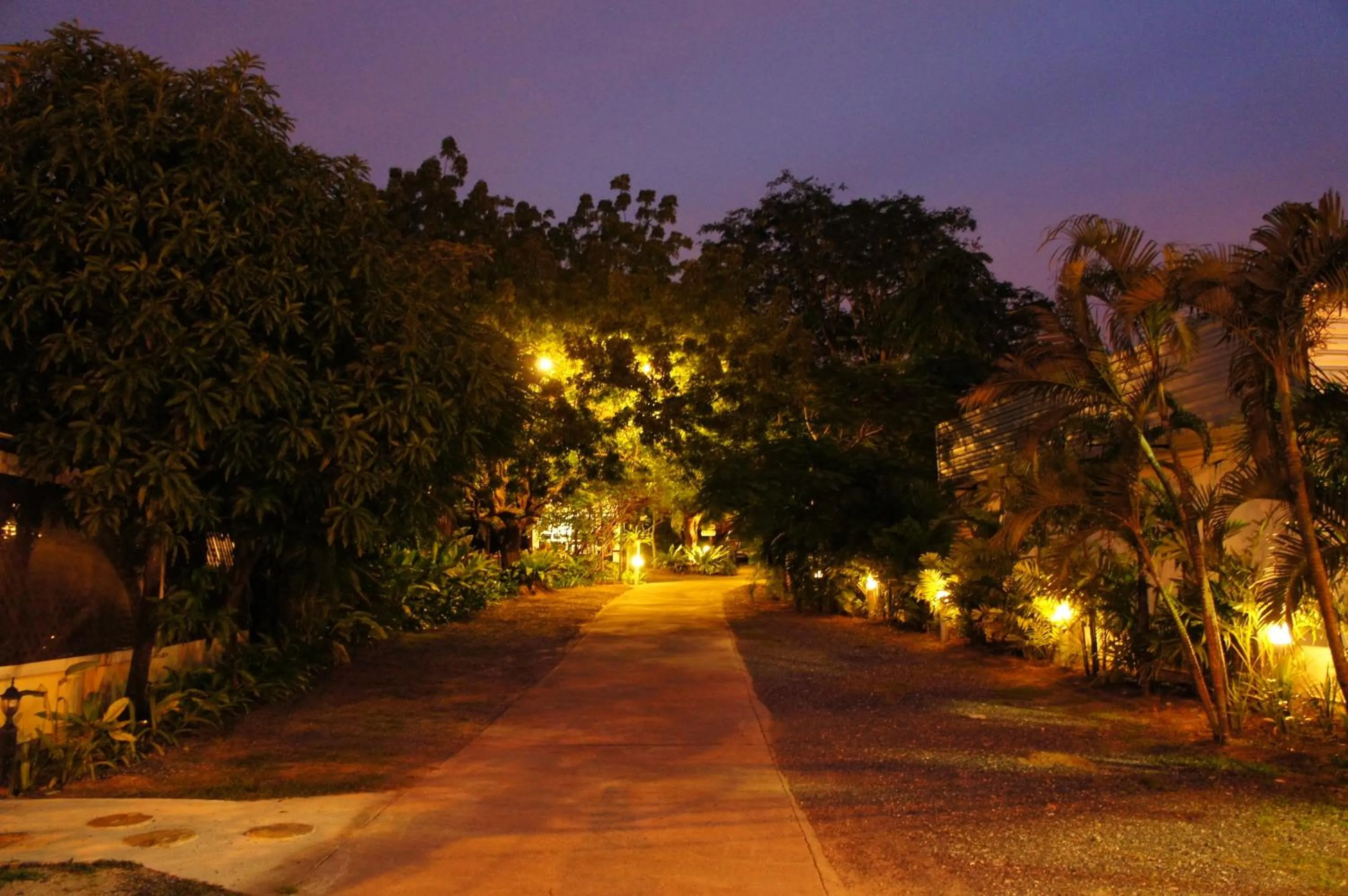 Night in Palm Village
