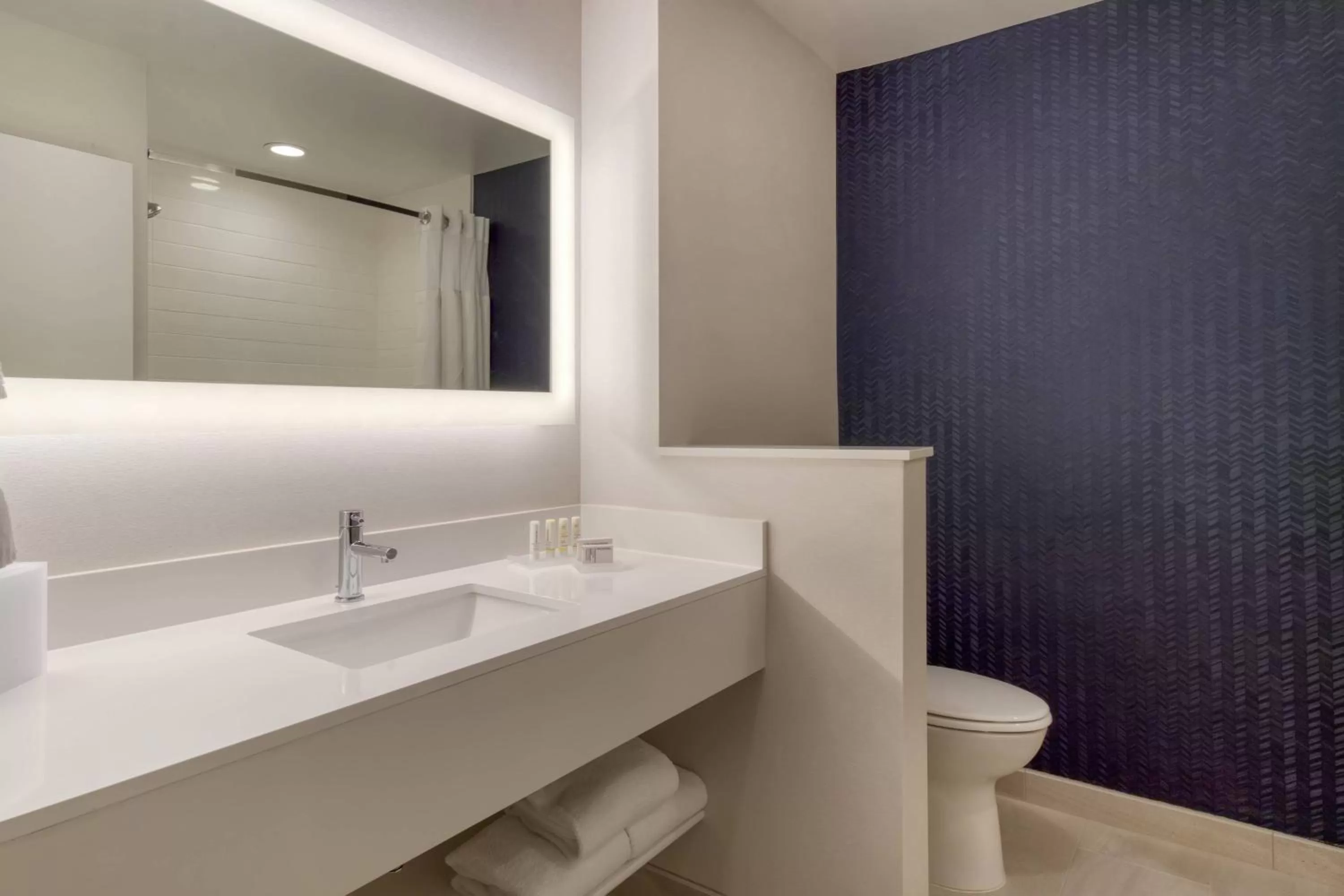 Bathroom in Fairfield Inn & Suites by Marriott Charlotte Belmont