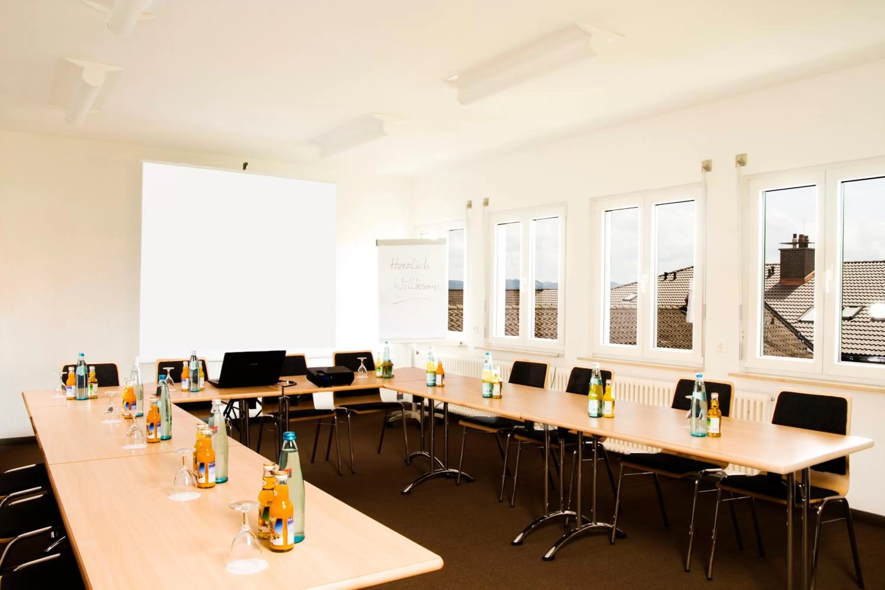 Decorative detail in Sapia Hotel St. Fridolin