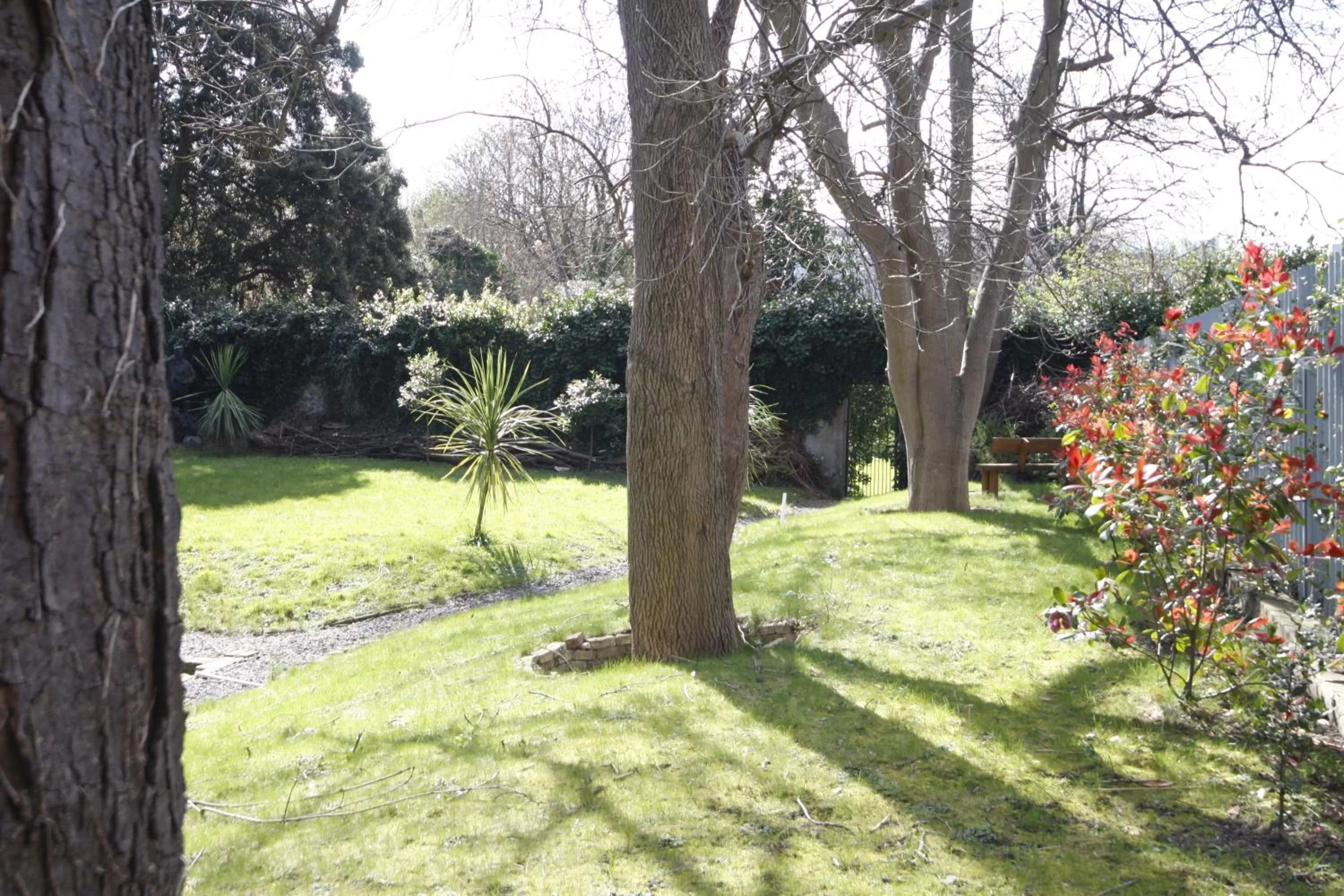 Garden in Stauntons on the Green Hotel