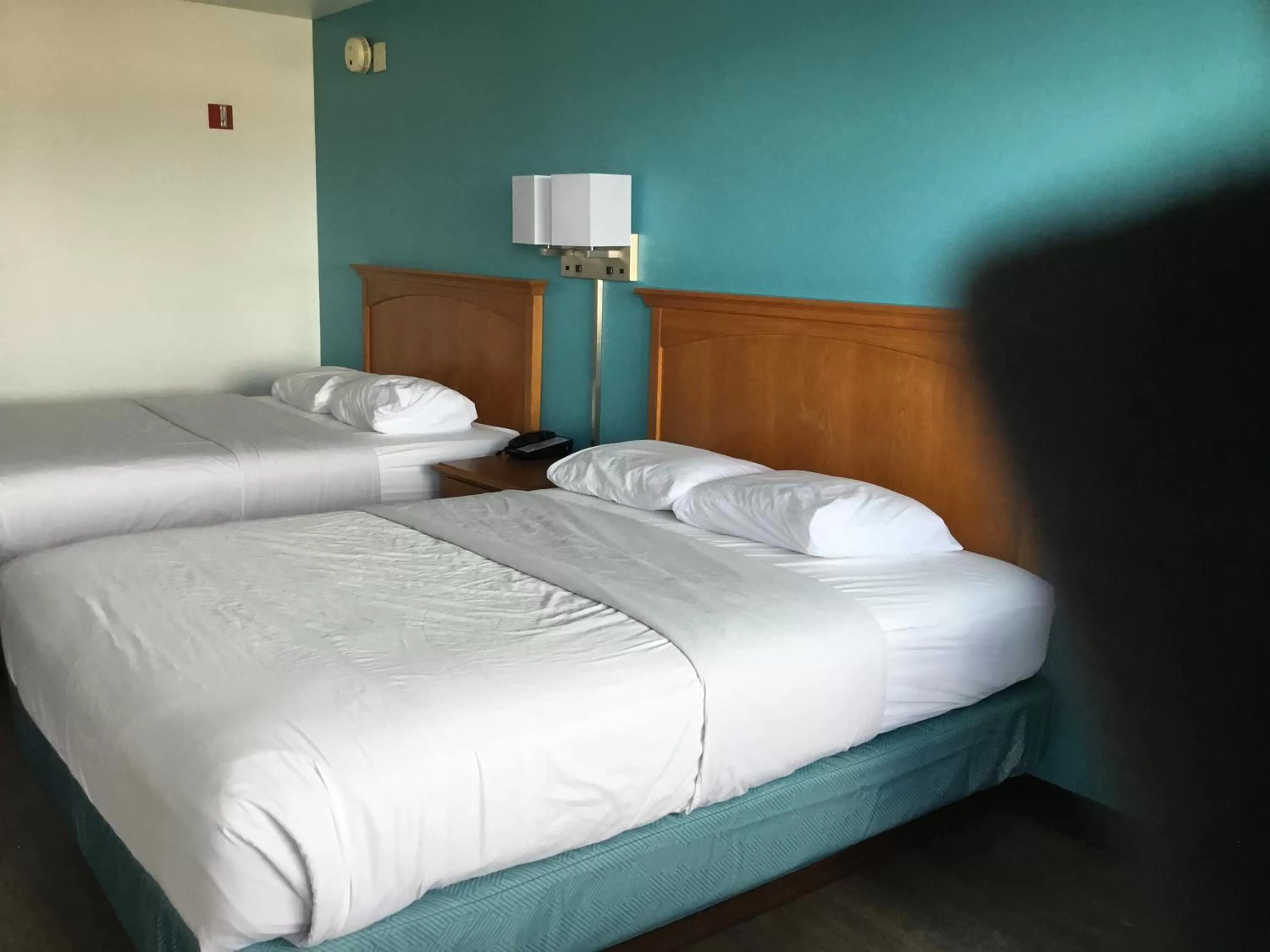 Bed in Motel 6-Baker City, OR