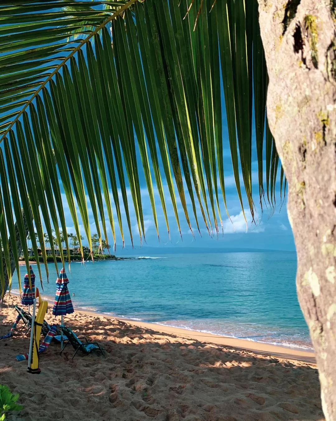 Beach in Napili Village Hotel