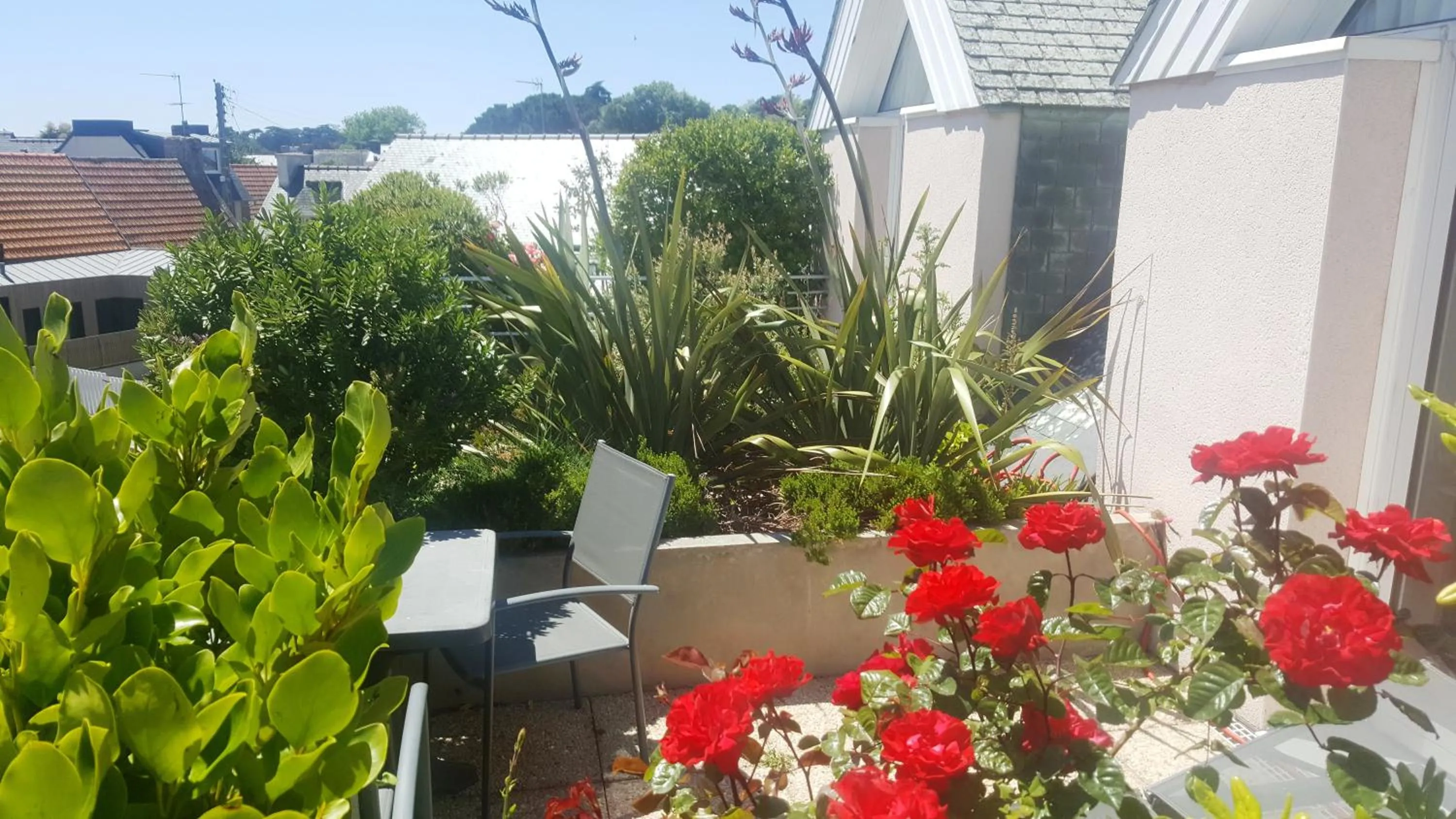 Garden in Hotel De L'Europe