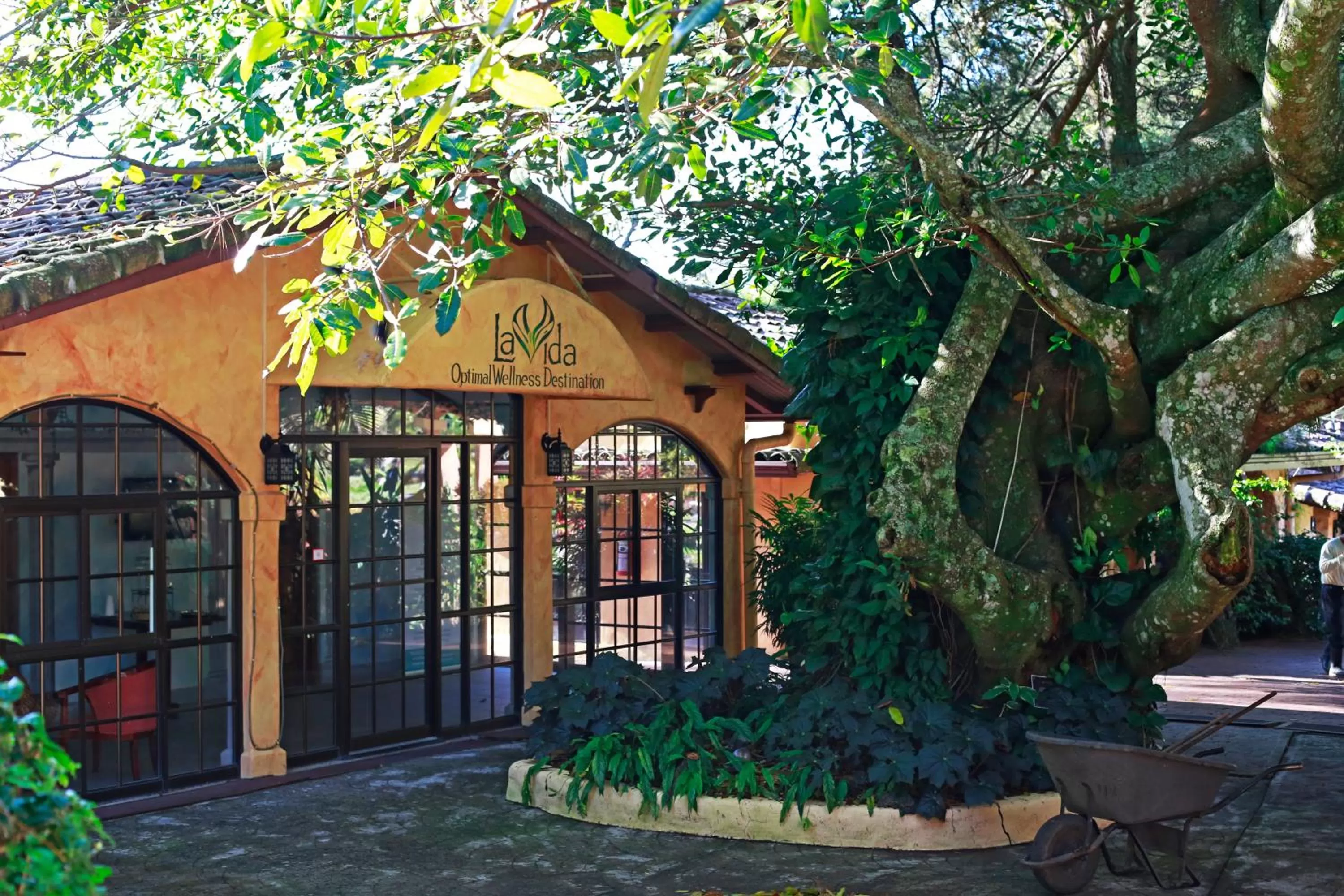 Spa and wellness centre/facilities in Valle Escondido Resort