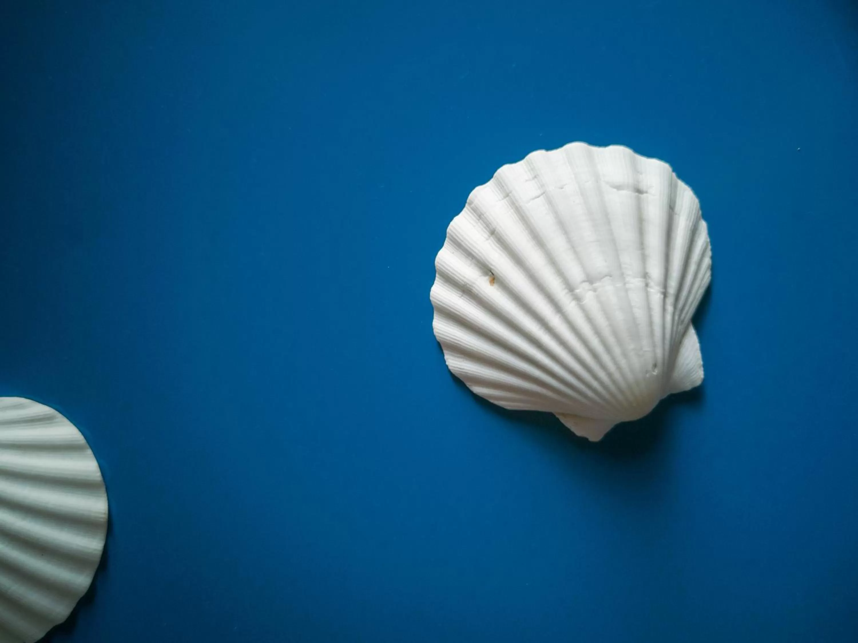 Decorative detail in 5 sirene