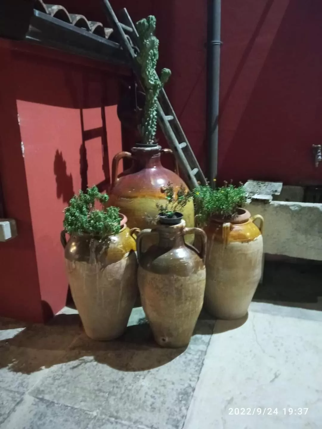 Garden view in B&B Lu Casale