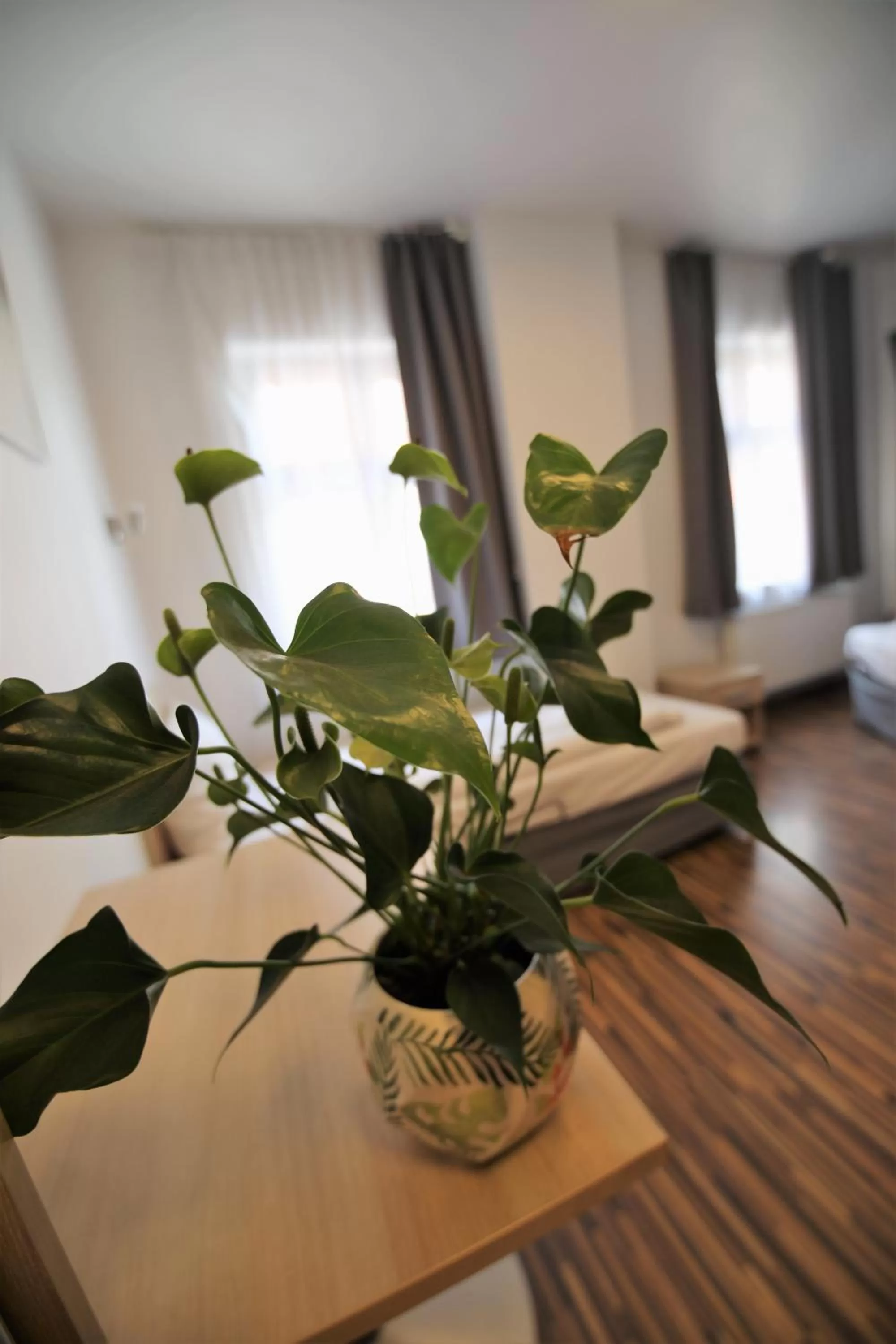 Photo of the whole room in Akira Bed & Breakfast