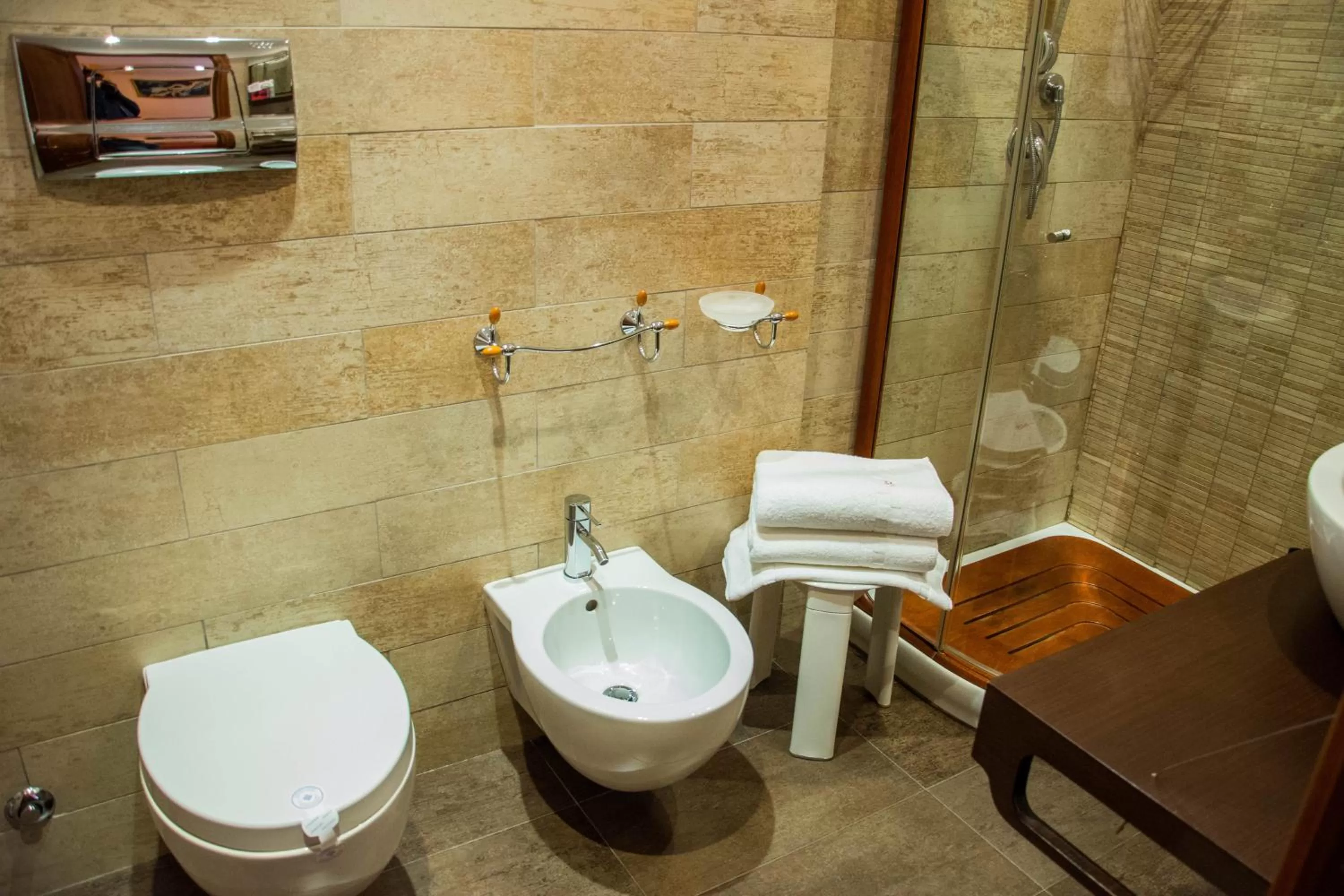 Shower in B&B Villa Liliya