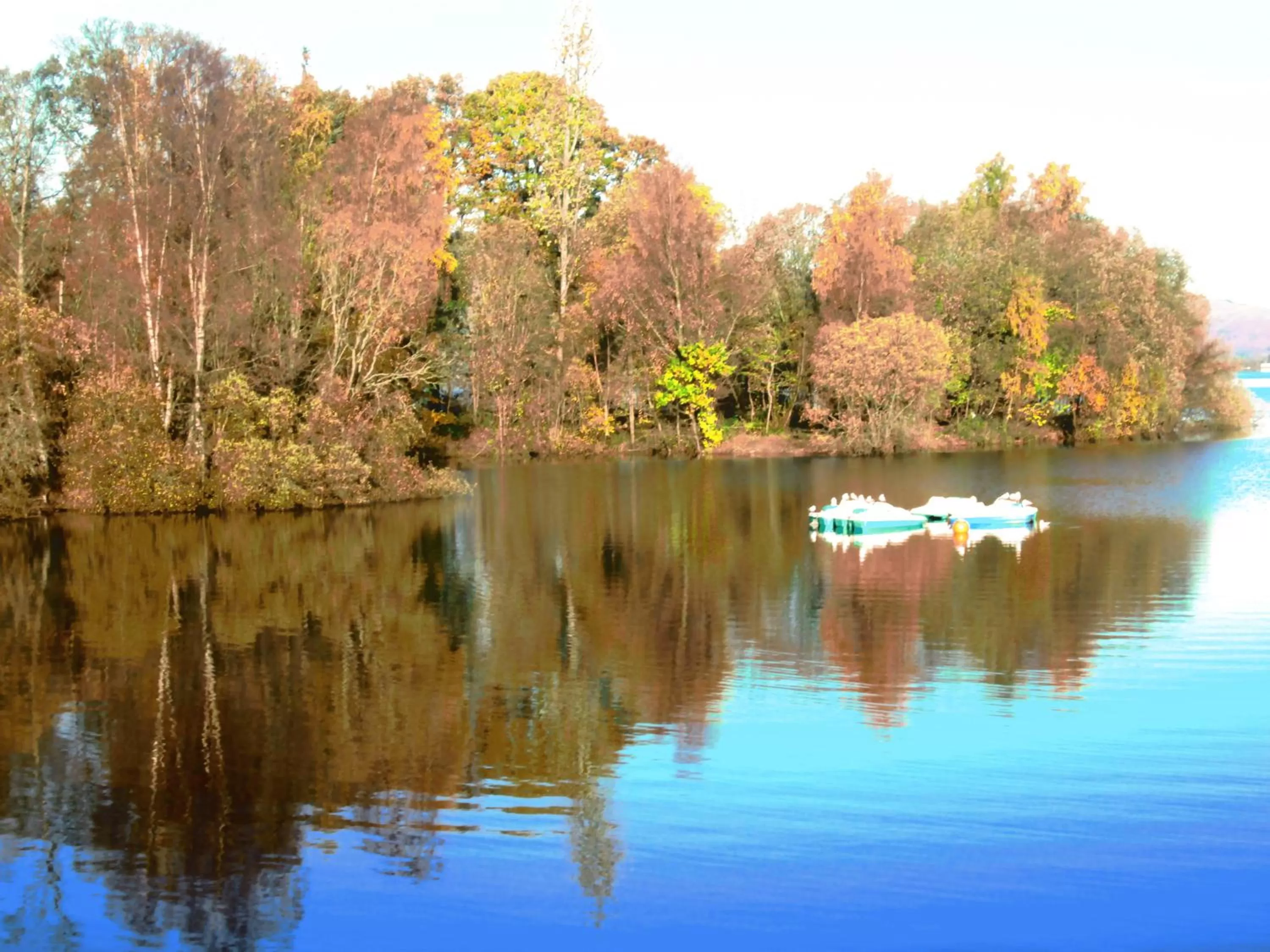 Day in Glenfern Guest House and a separate Cottage with its own private hot tub
