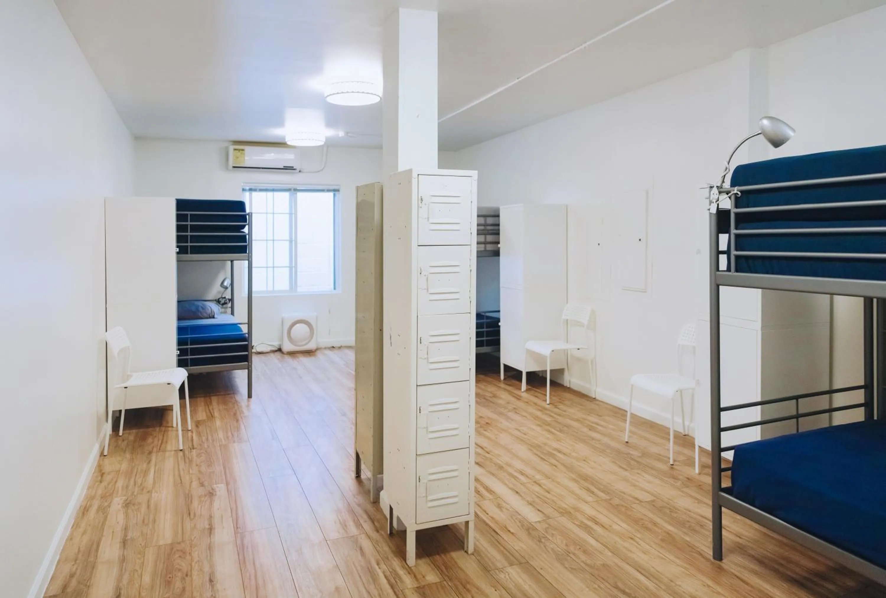 Photo of the whole room, Bunk Bed in Melrose Hostel