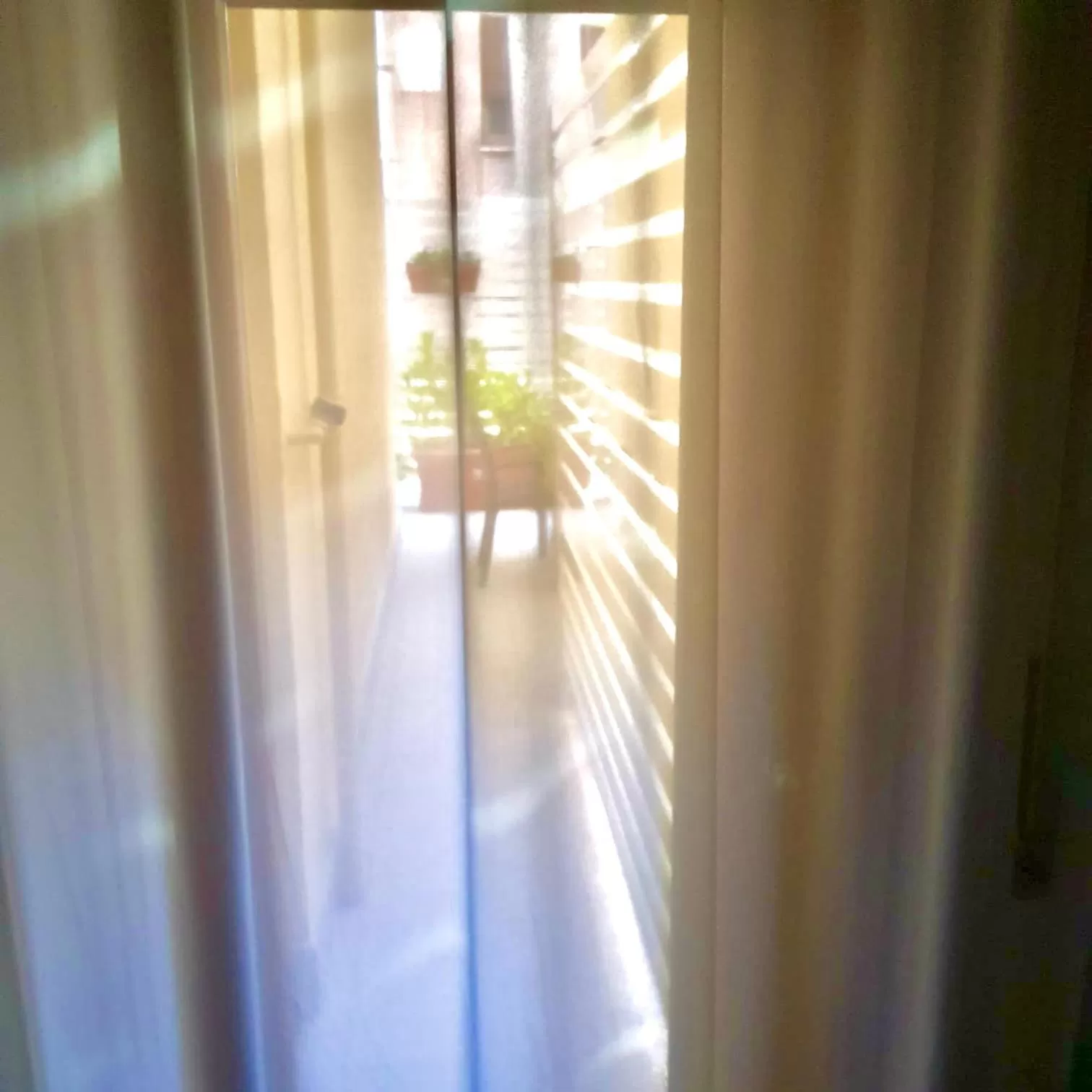 Patio in Residence D'azeglio