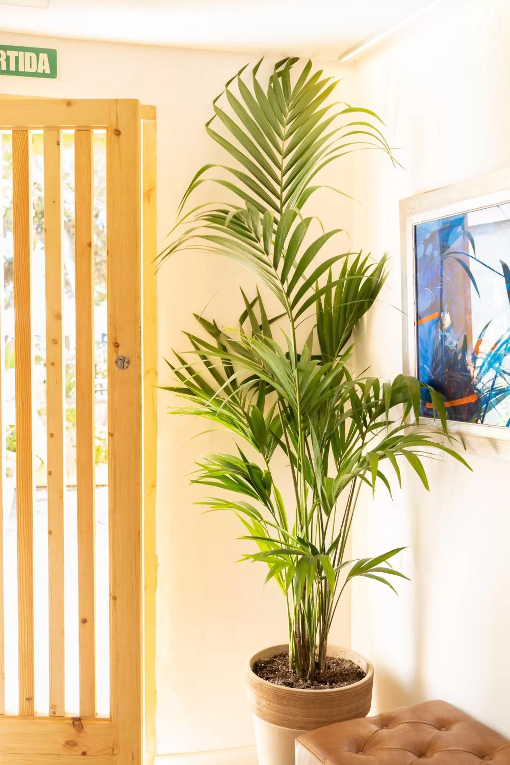 Property building in Sitges Beach Hostal