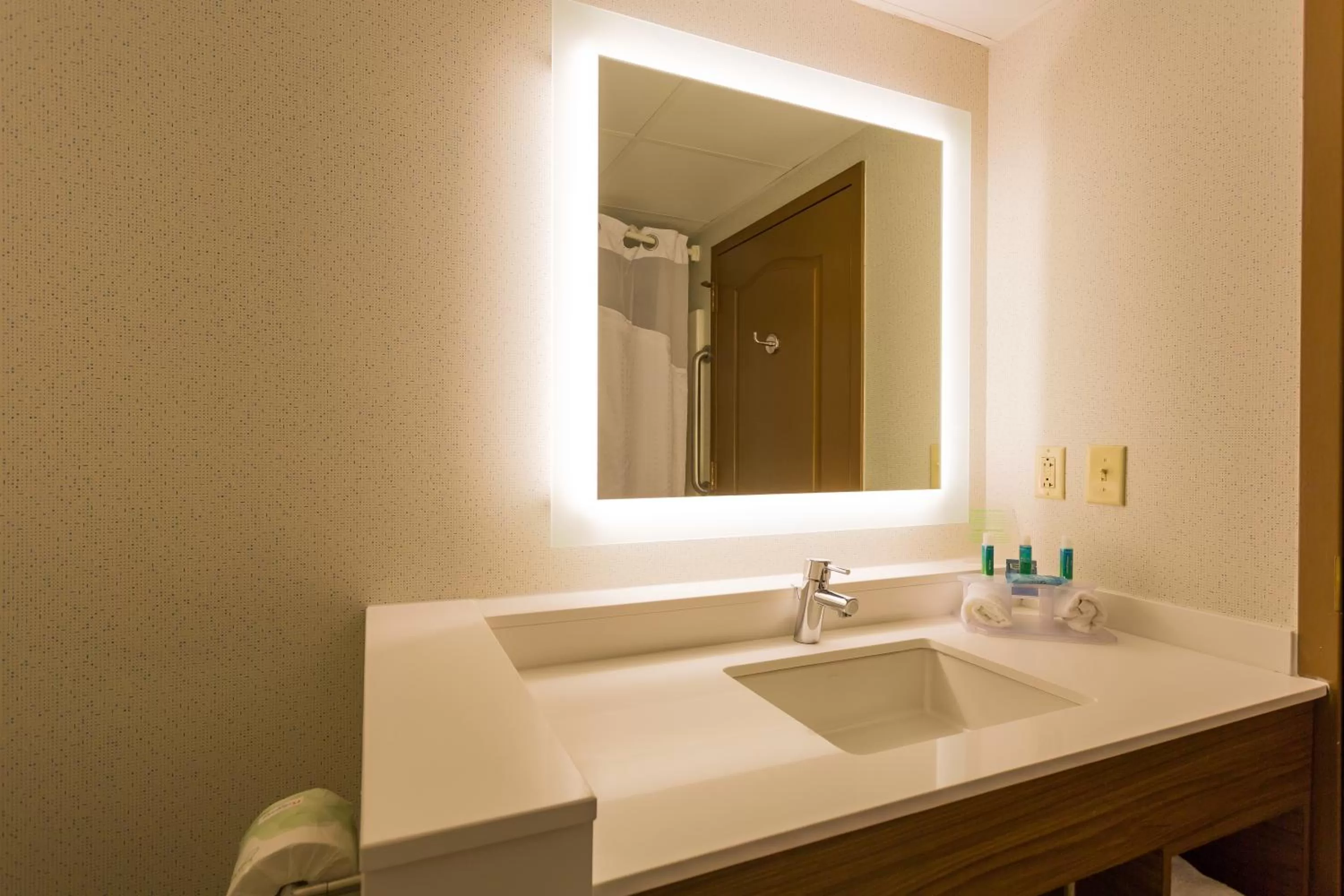Bathroom in Holiday Inn Express Hotel & Suites Reading by IHG