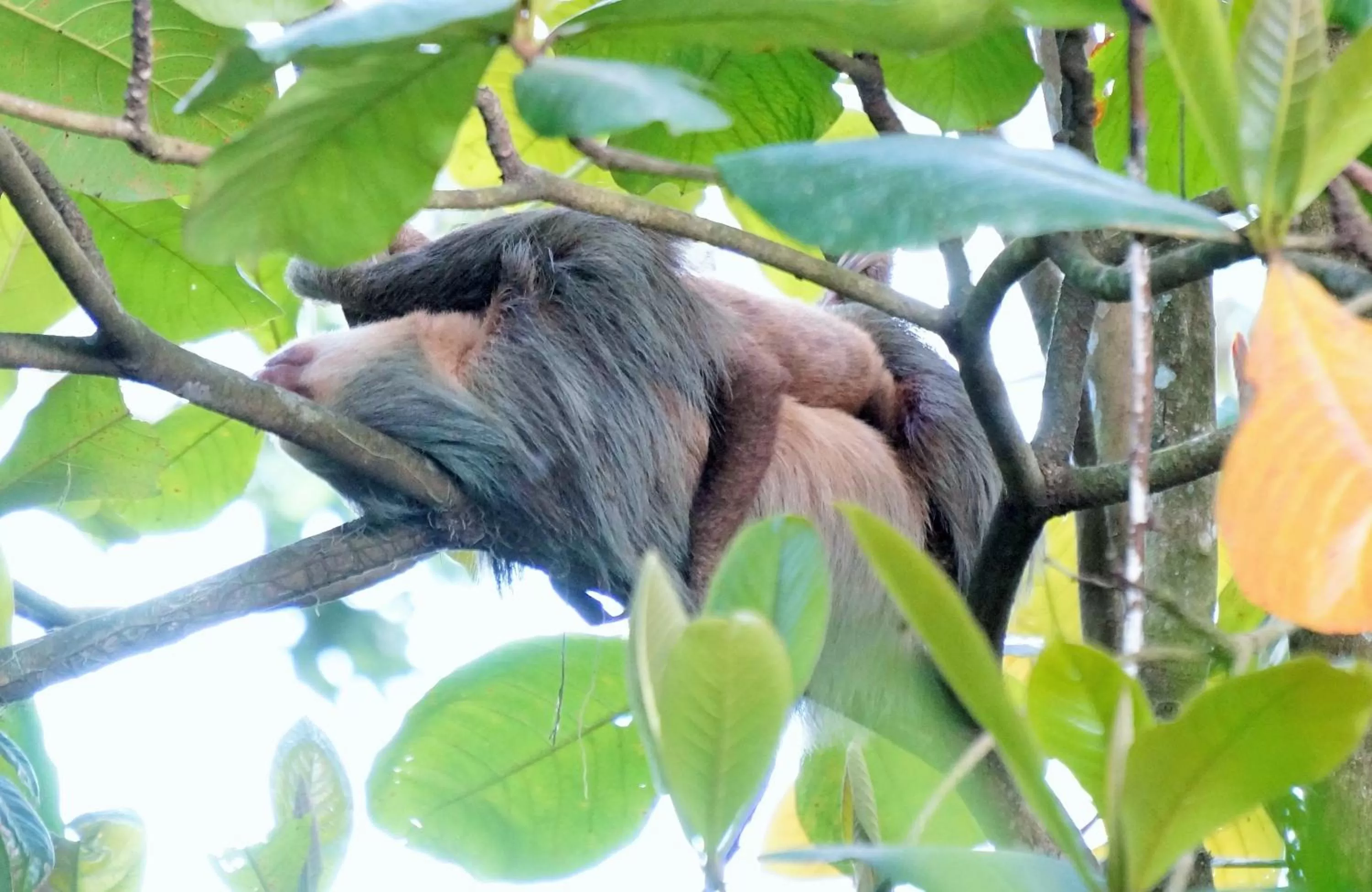 Area and facilities in Hotel Monte Real