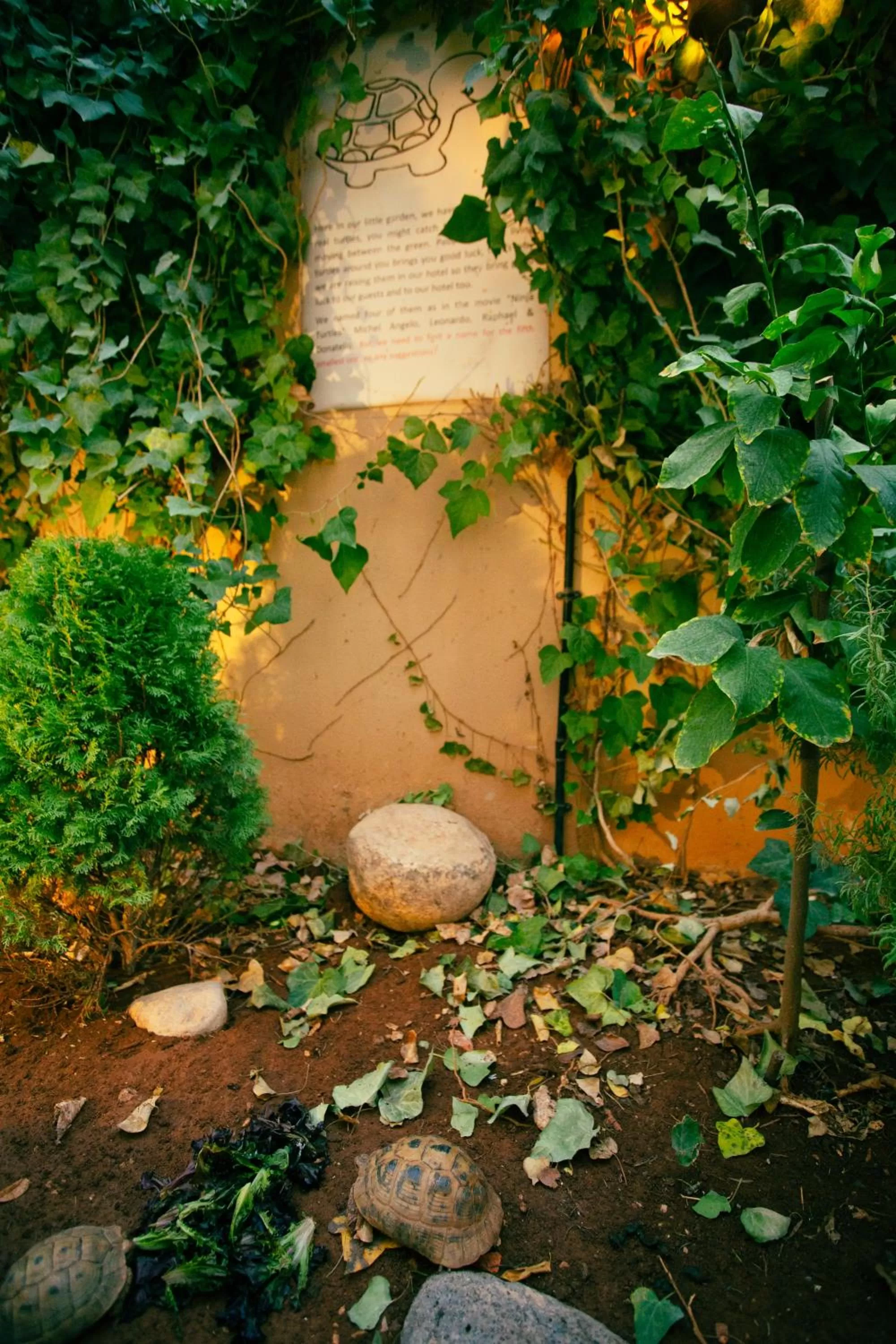 Garden in Grand Hotel Madaba