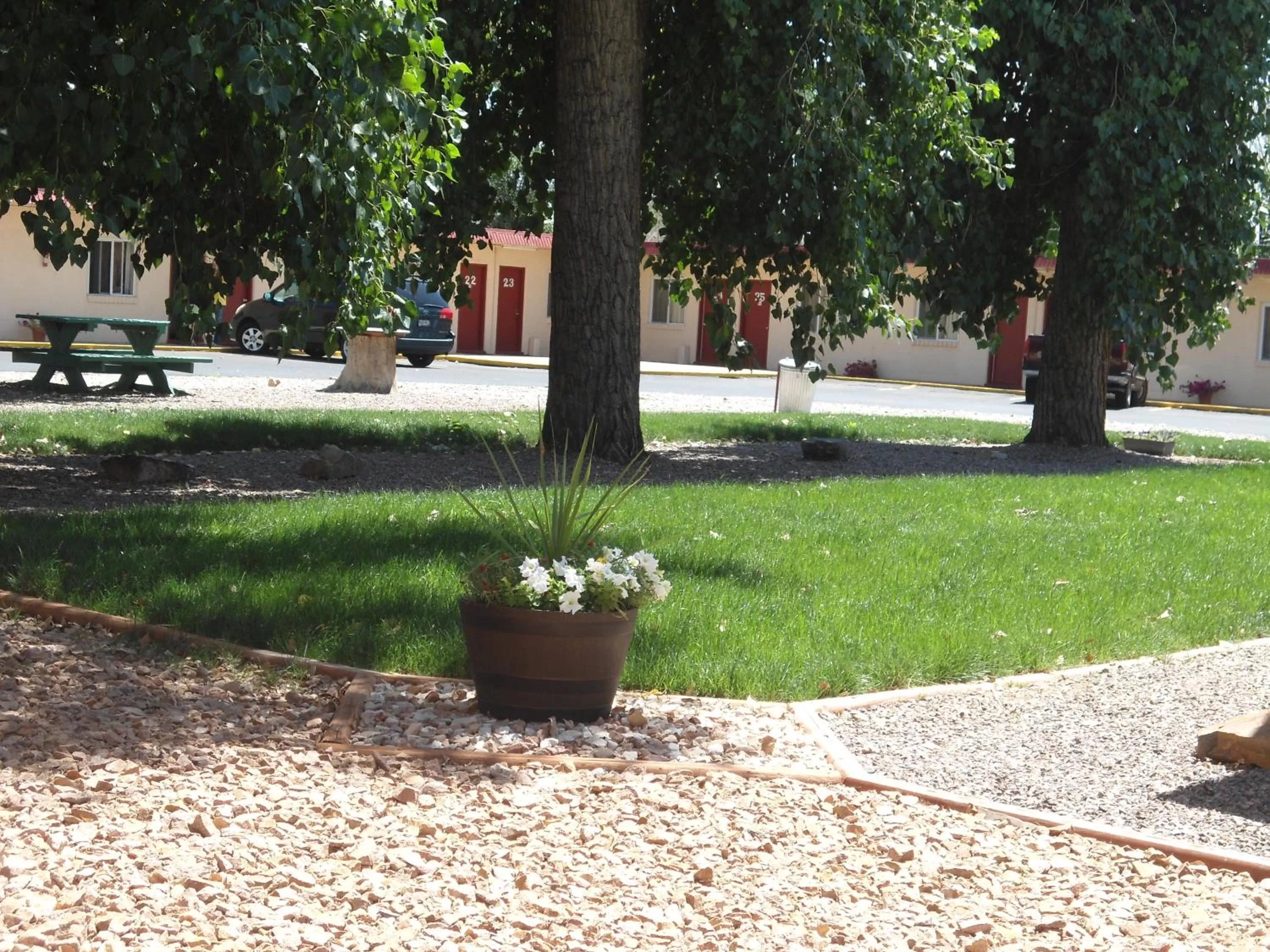 Garden in Travel Inn Motel