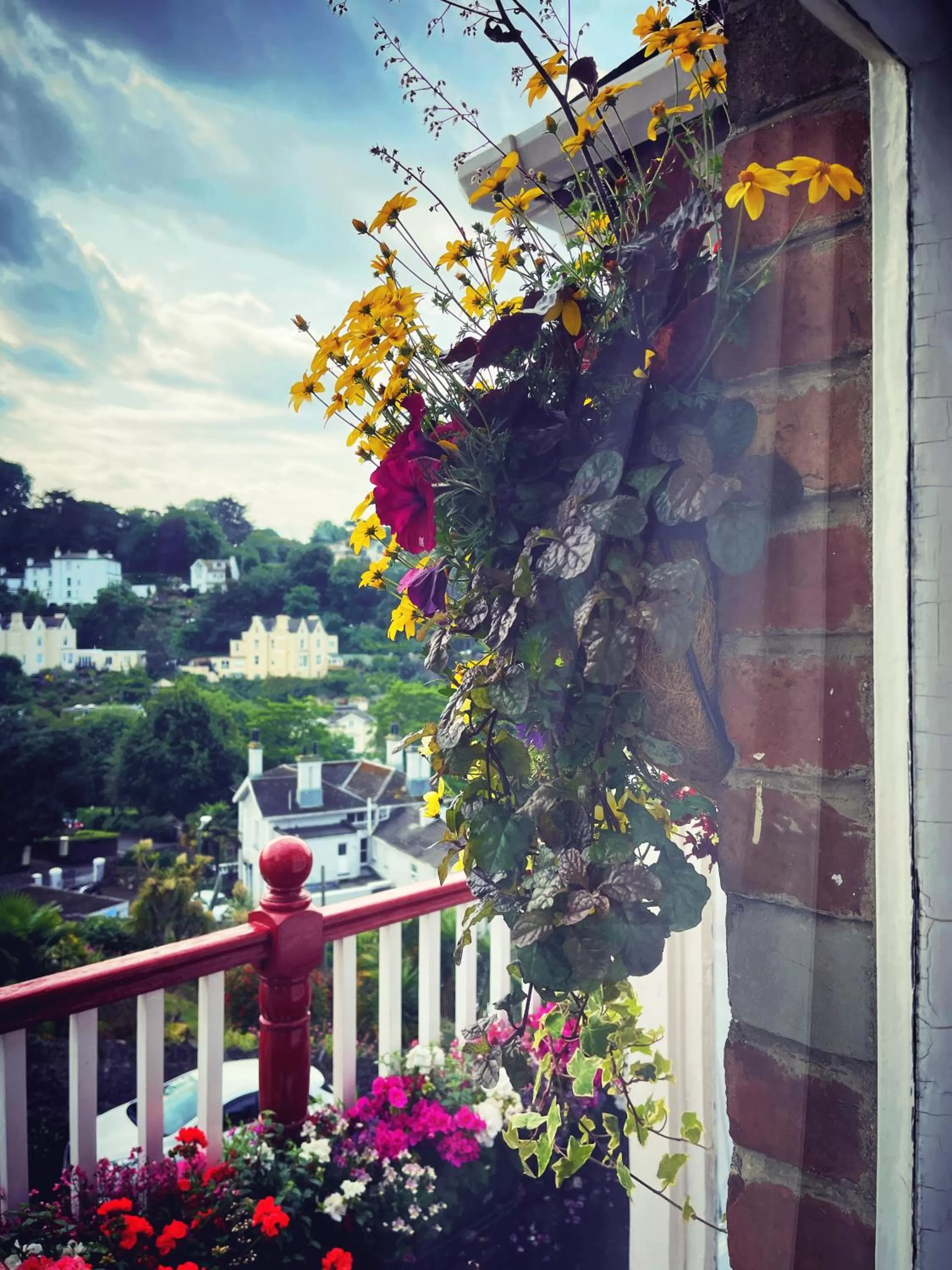 View (from property/room), Balcony/Terrace in The Robin Hill
