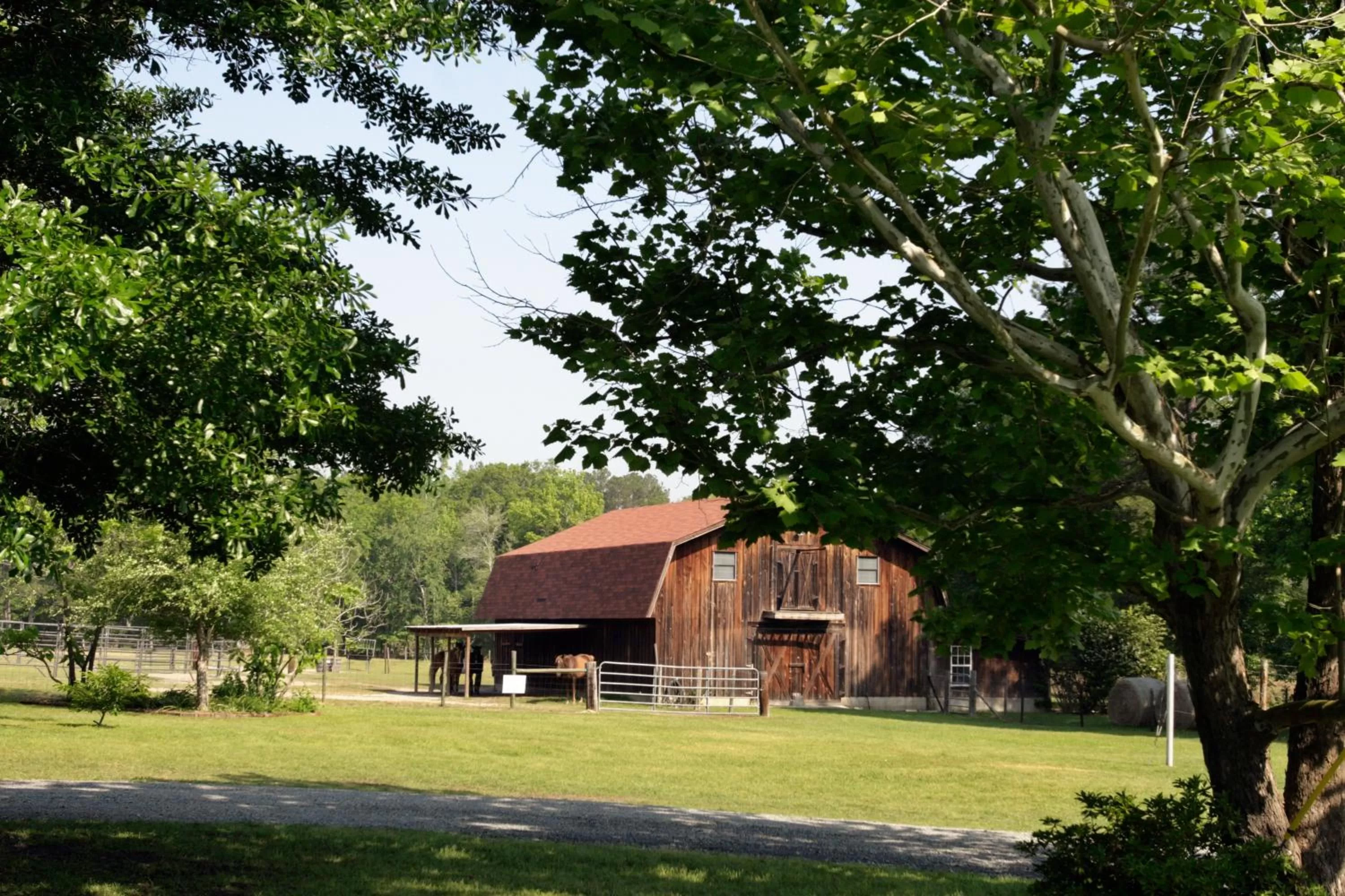 Property Building in Dublin Farm