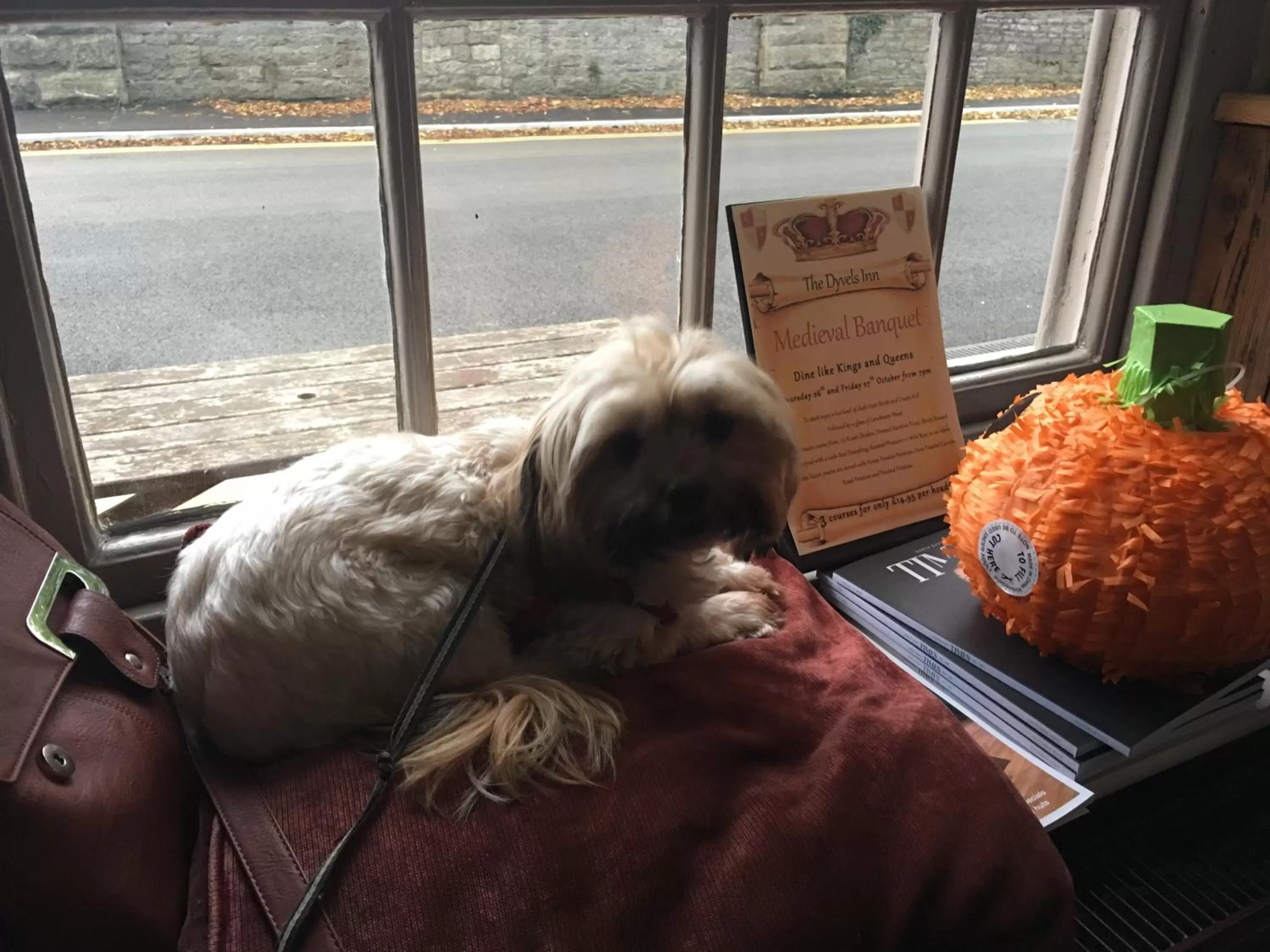 Pets in The Dyvels Inn