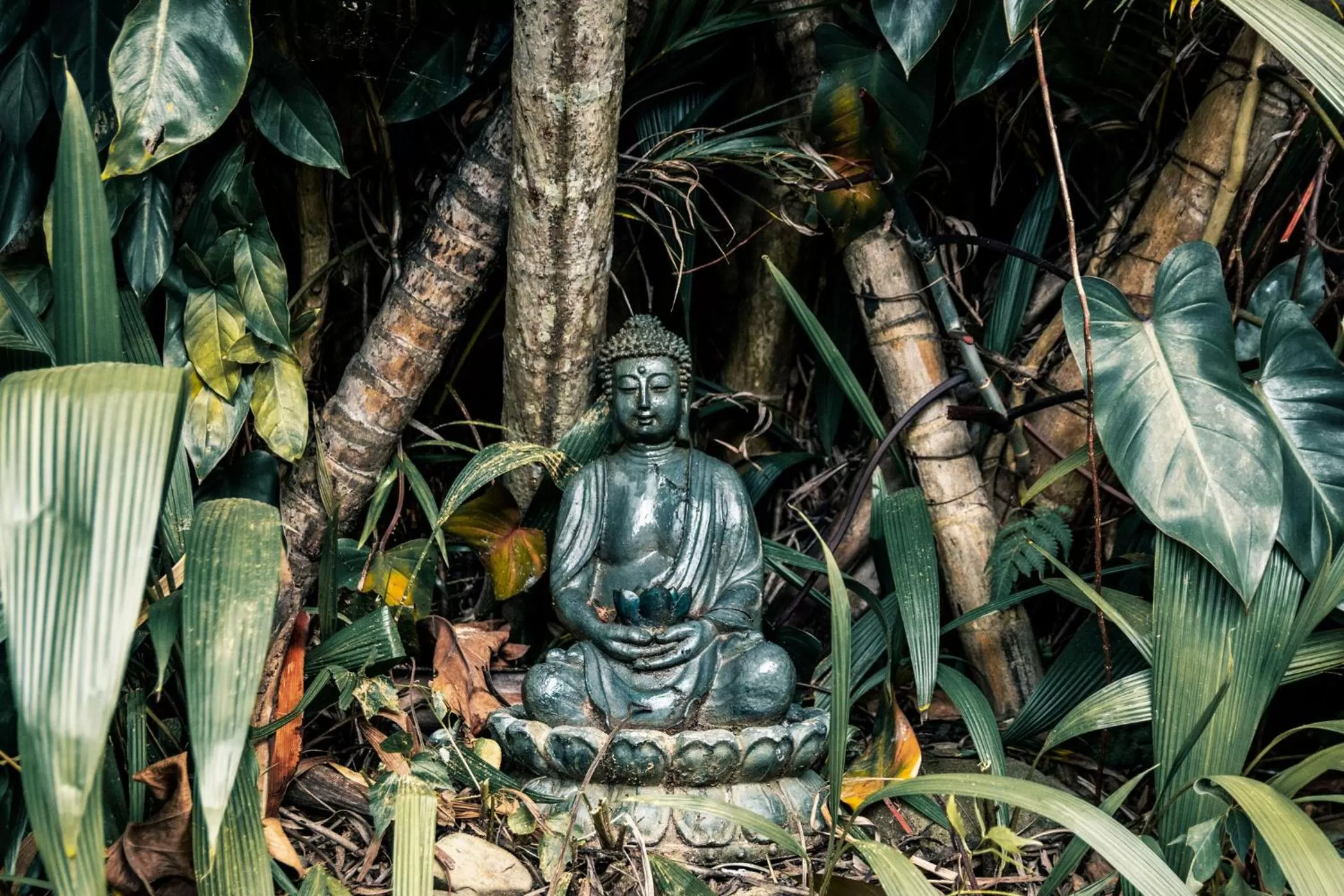 Garden in Terida Airport B&B