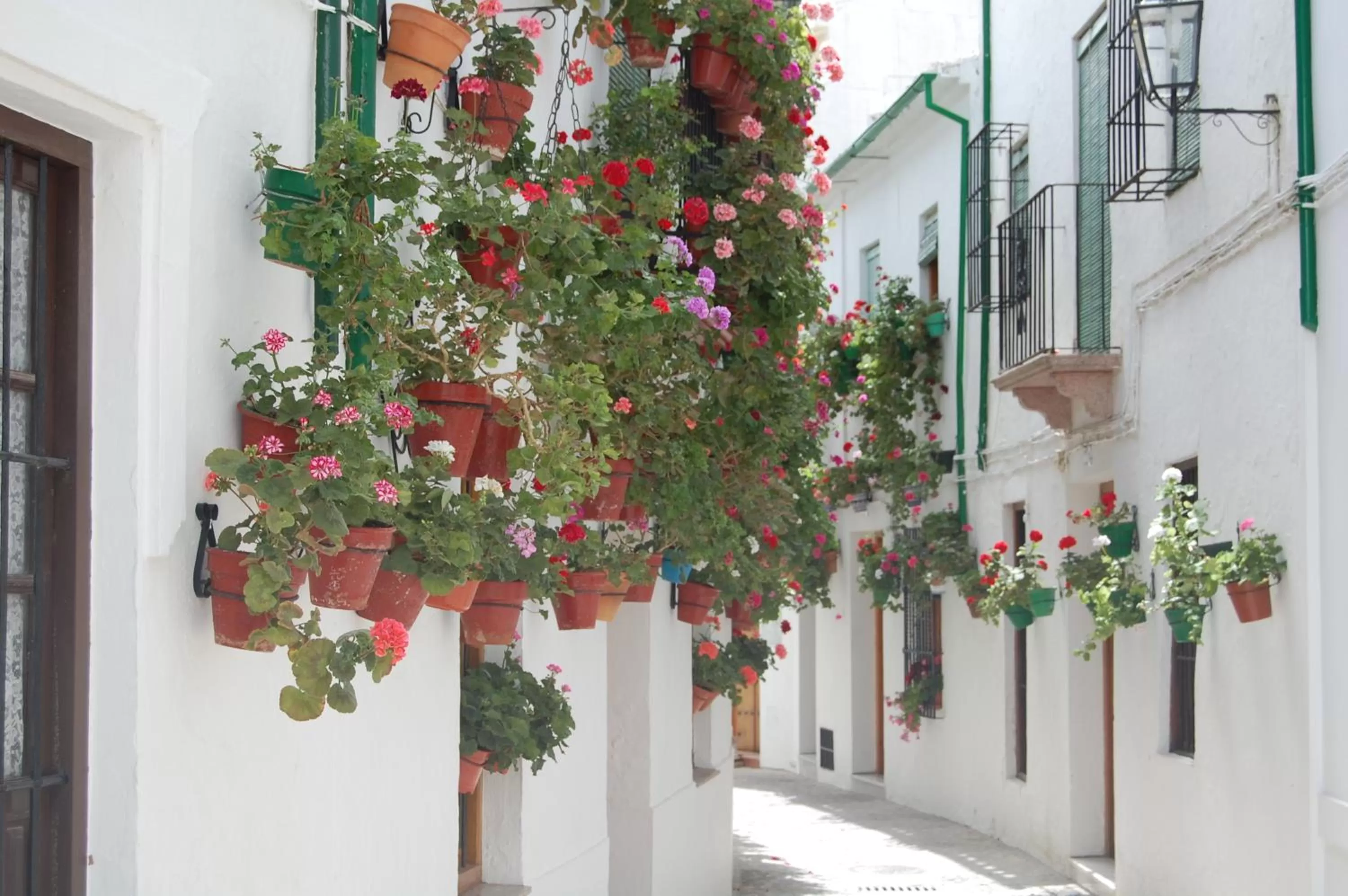 Area and facilities in Casa Baños de la Villa