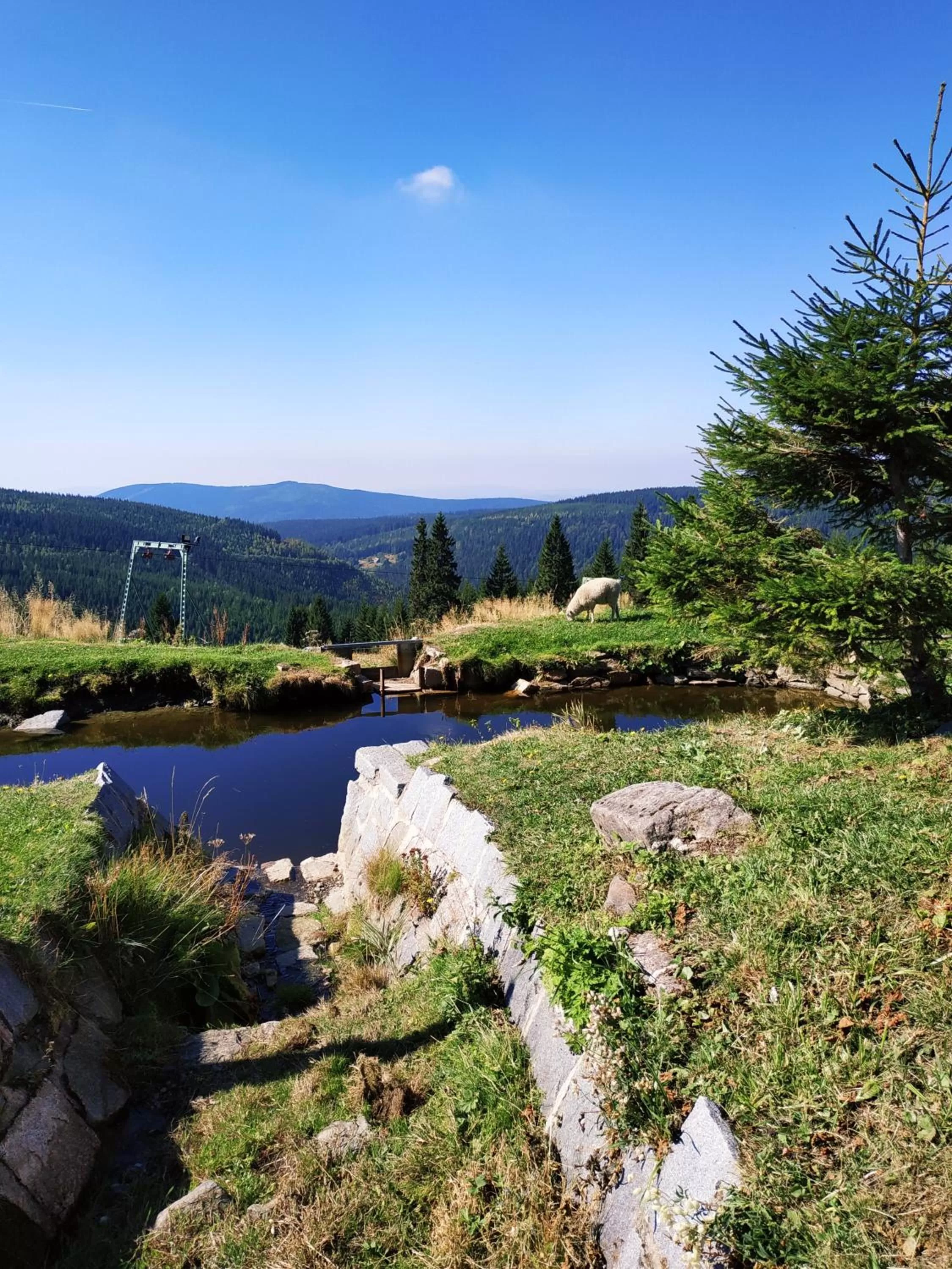 Natural landscape in Penzion Andula Friesovy boudy