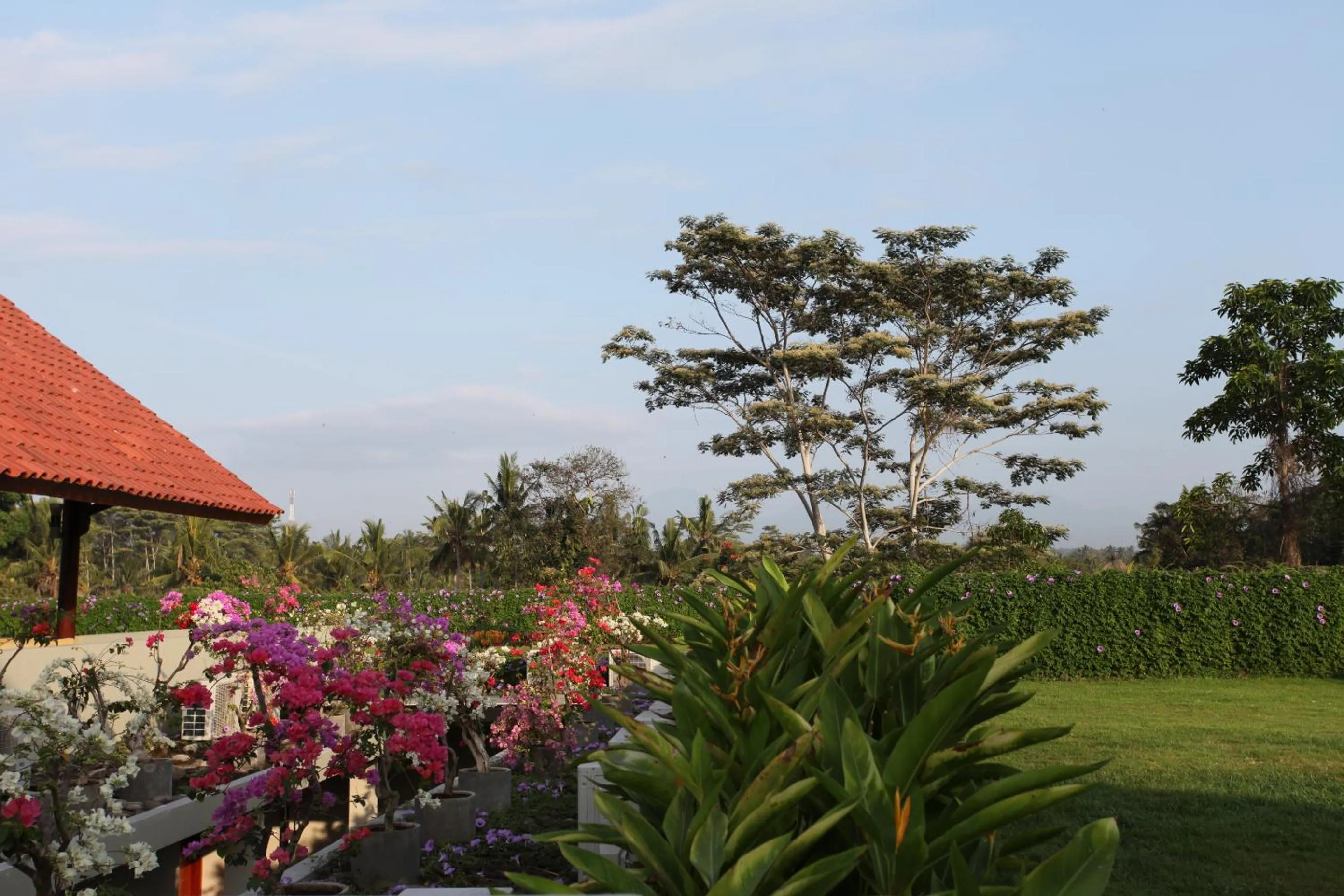 Garden in Ubud Wana Resort