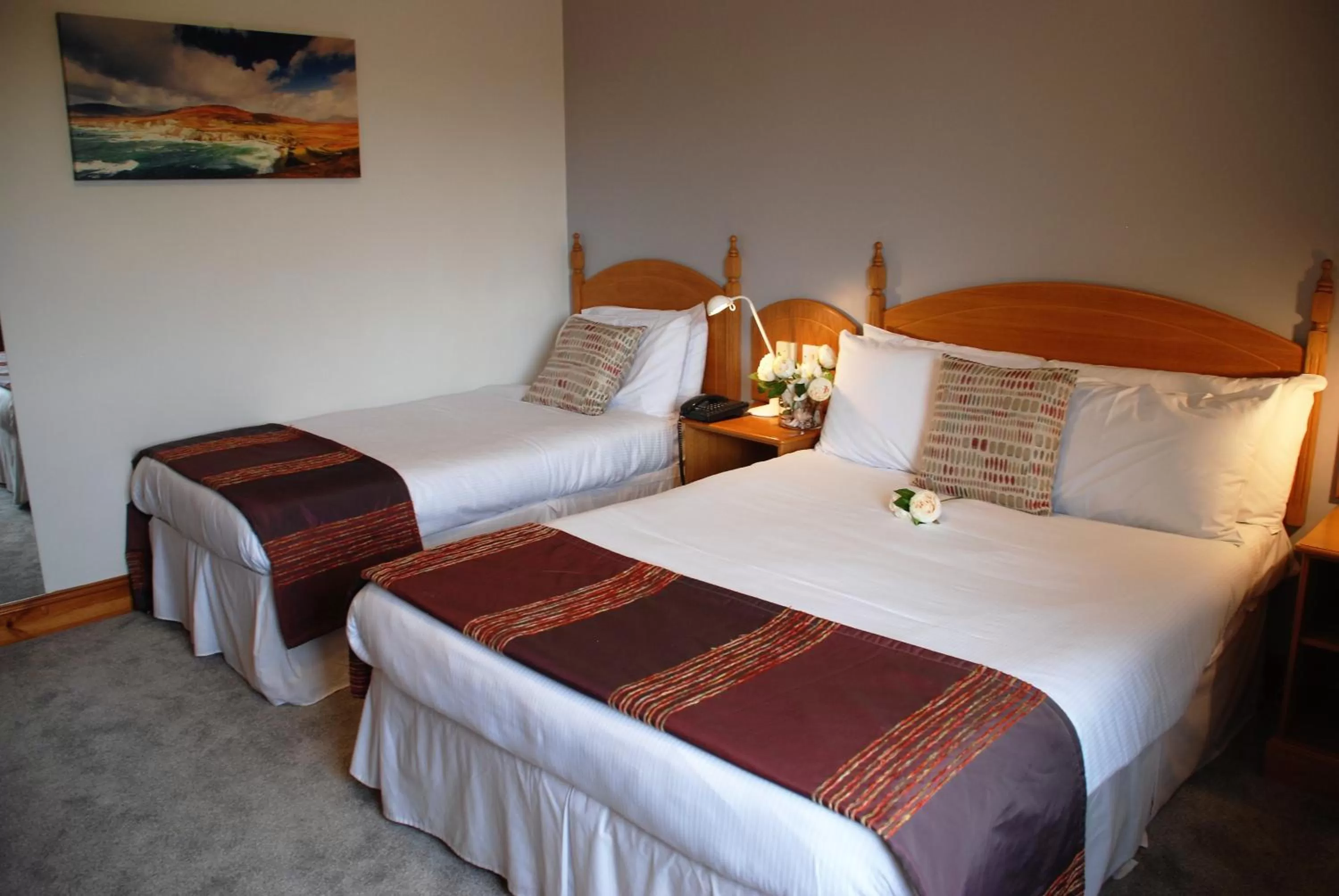 Double or Twin Room with wet room in Ferryport House B&B