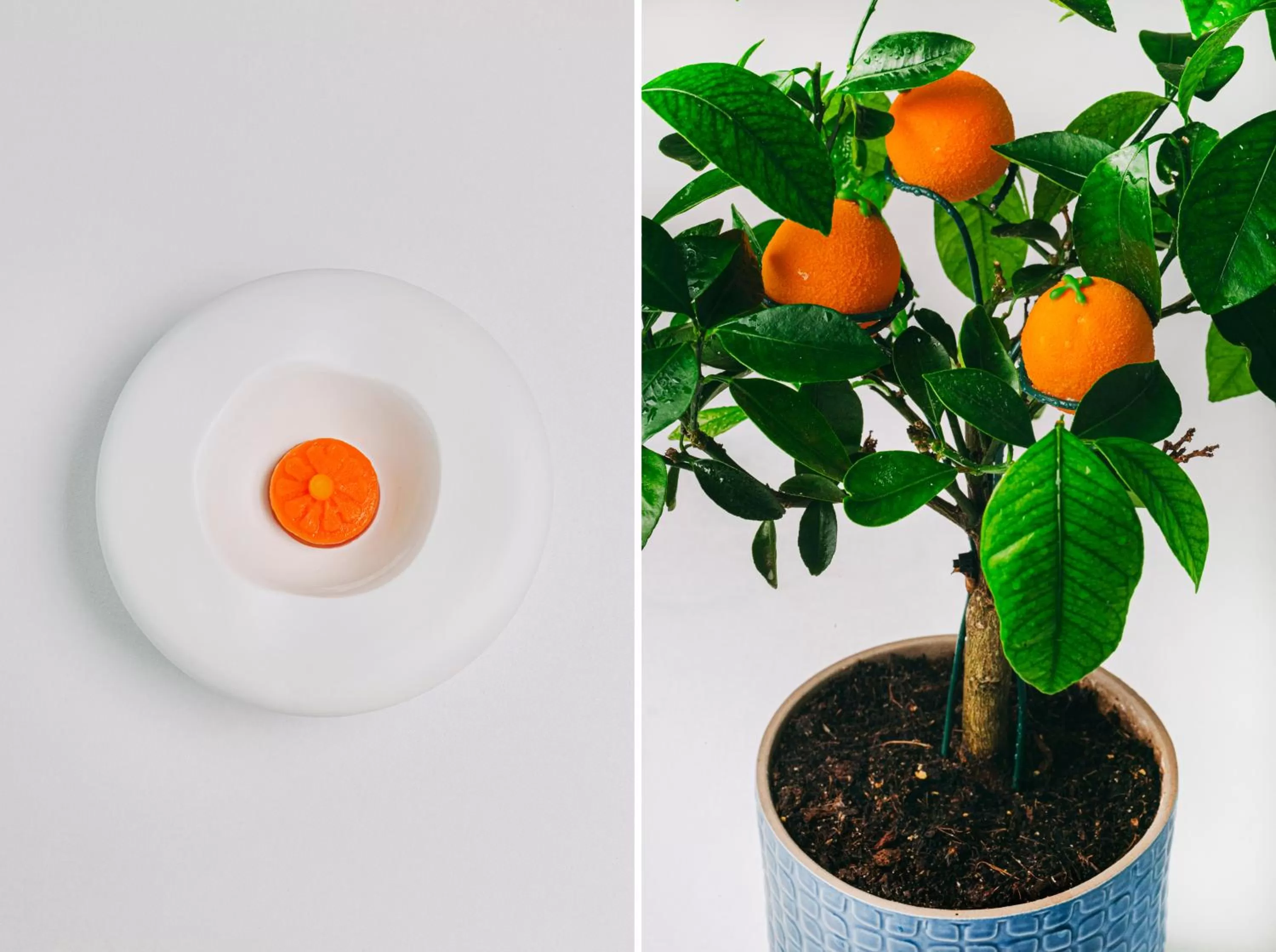 Restaurant/places to eat in Bela Vista Hotel & Spa - Relais & Chateaux