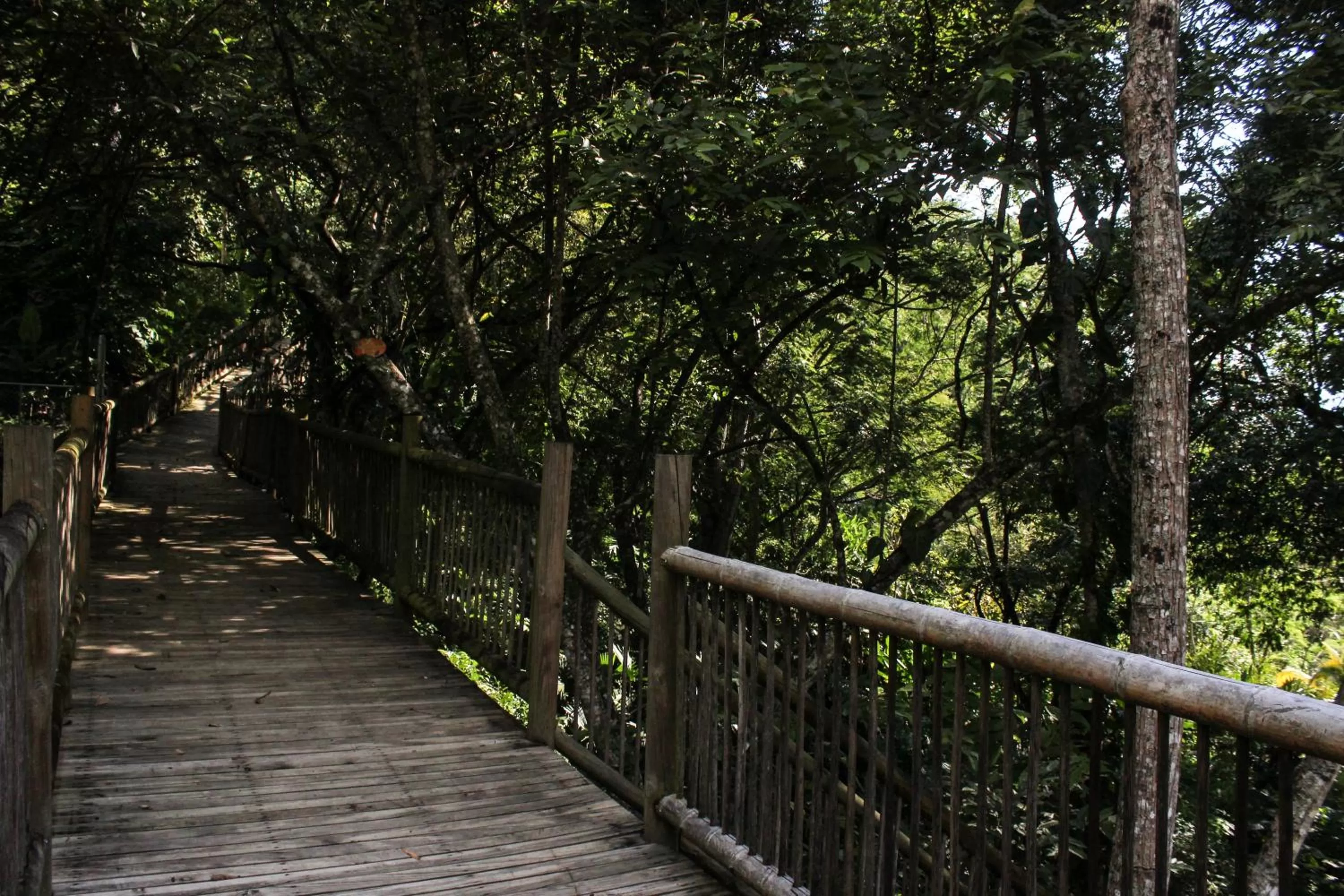 Natural landscape in Rio Escondido