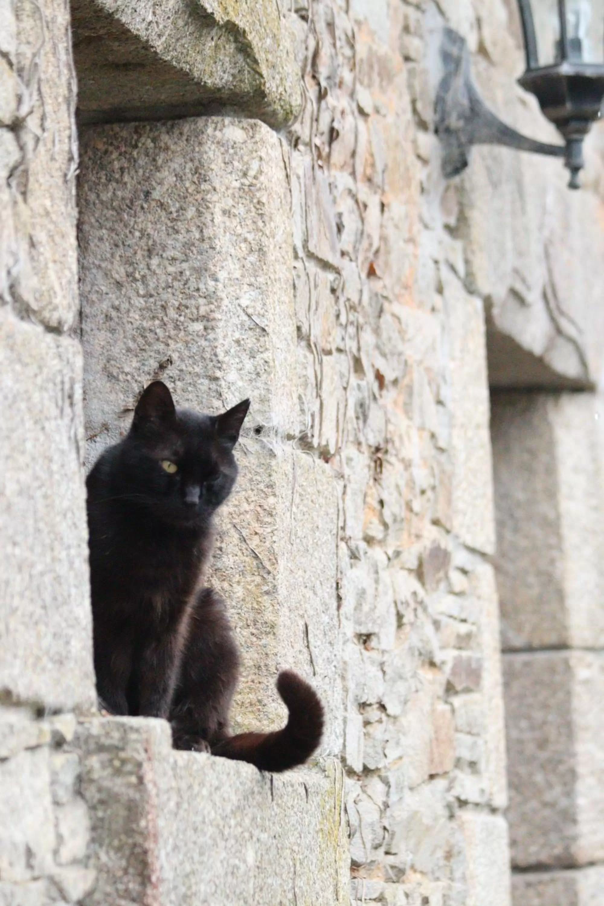 Property building in La Petite Bérais